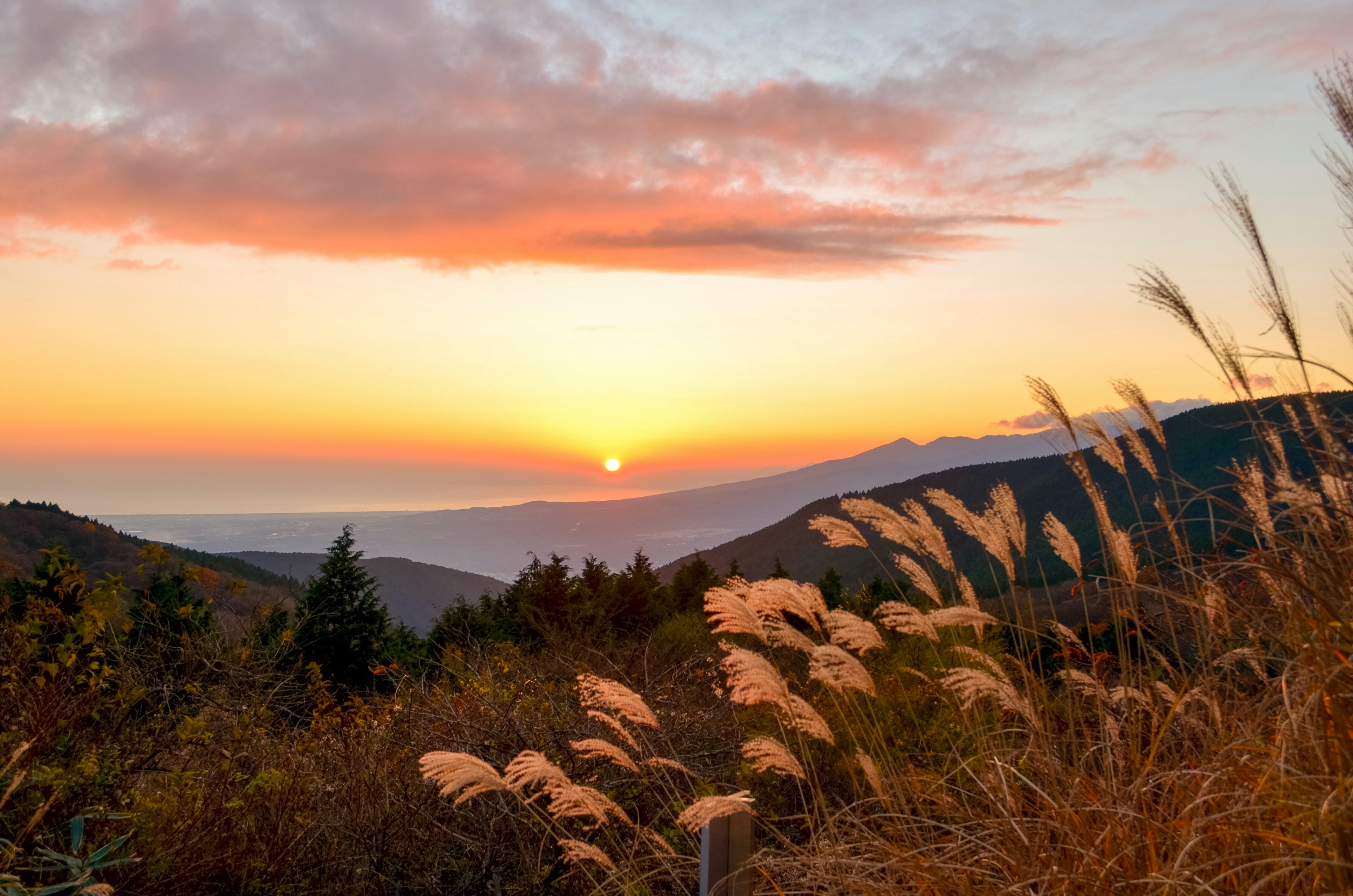 Vue du coucher de soleil sur les montagnes avec de l'herbe haute au premier plan