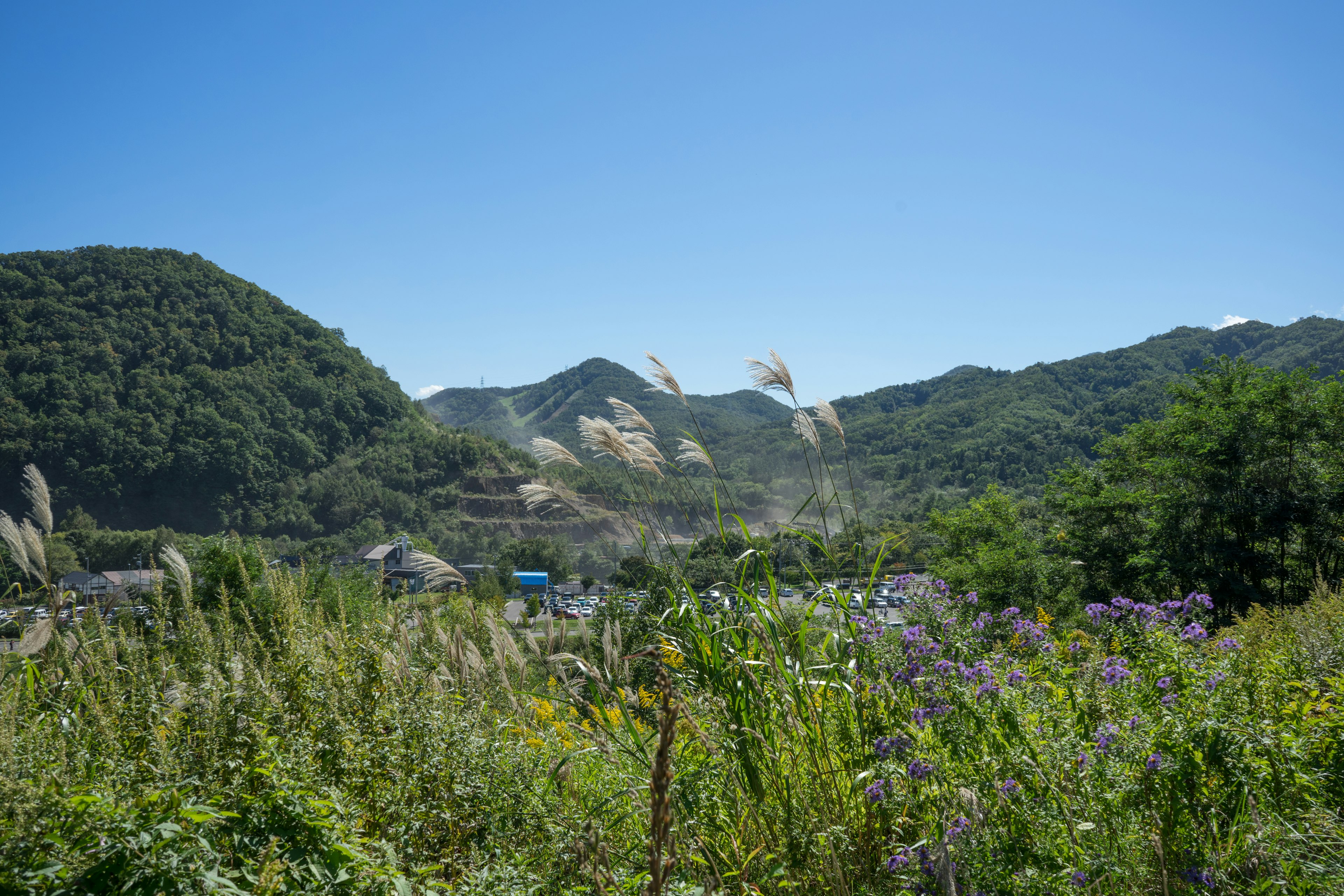 Landscape with green hills and wildflowers under a blue sky