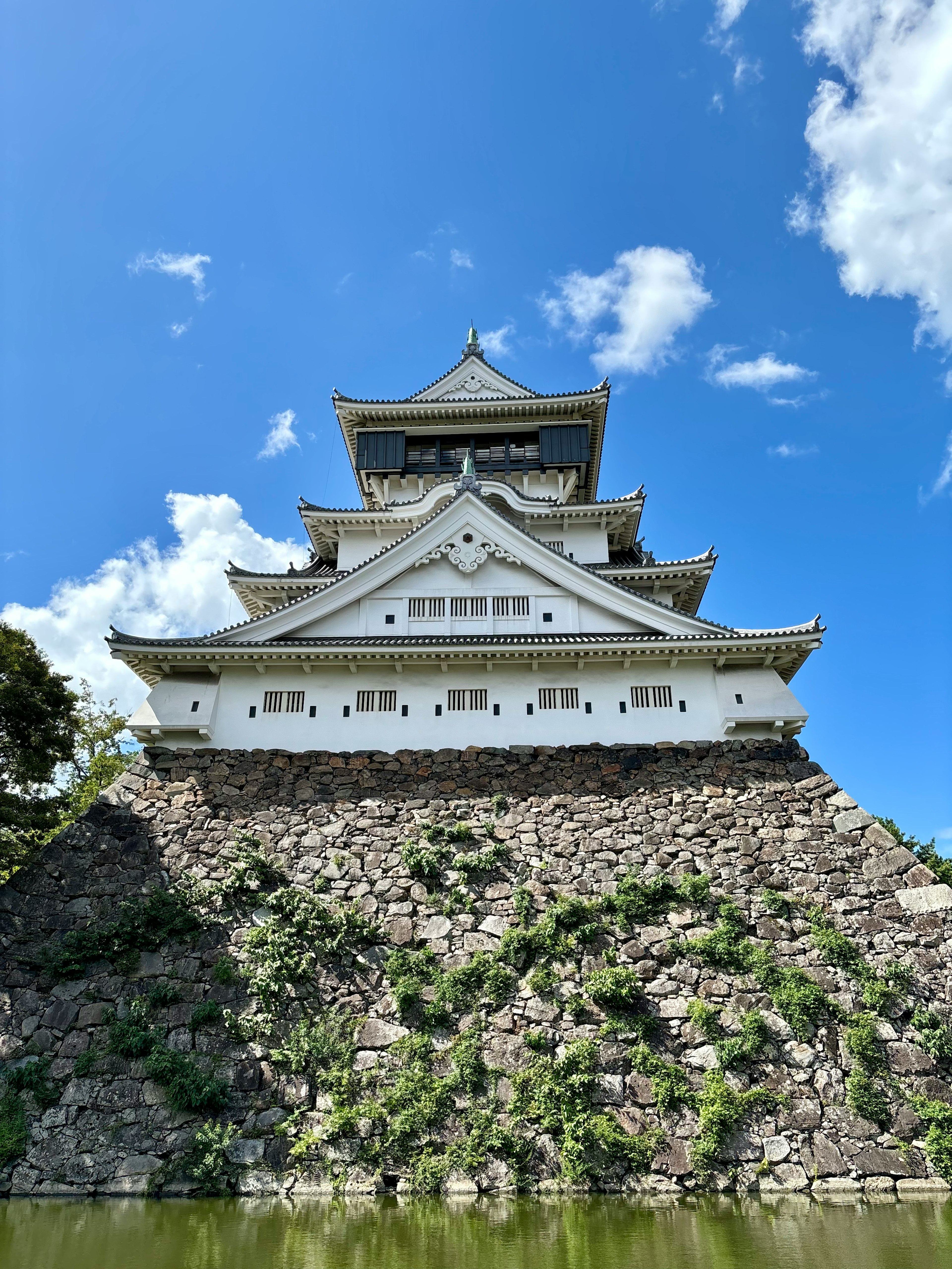 美しい青空の下にある白い城の外観