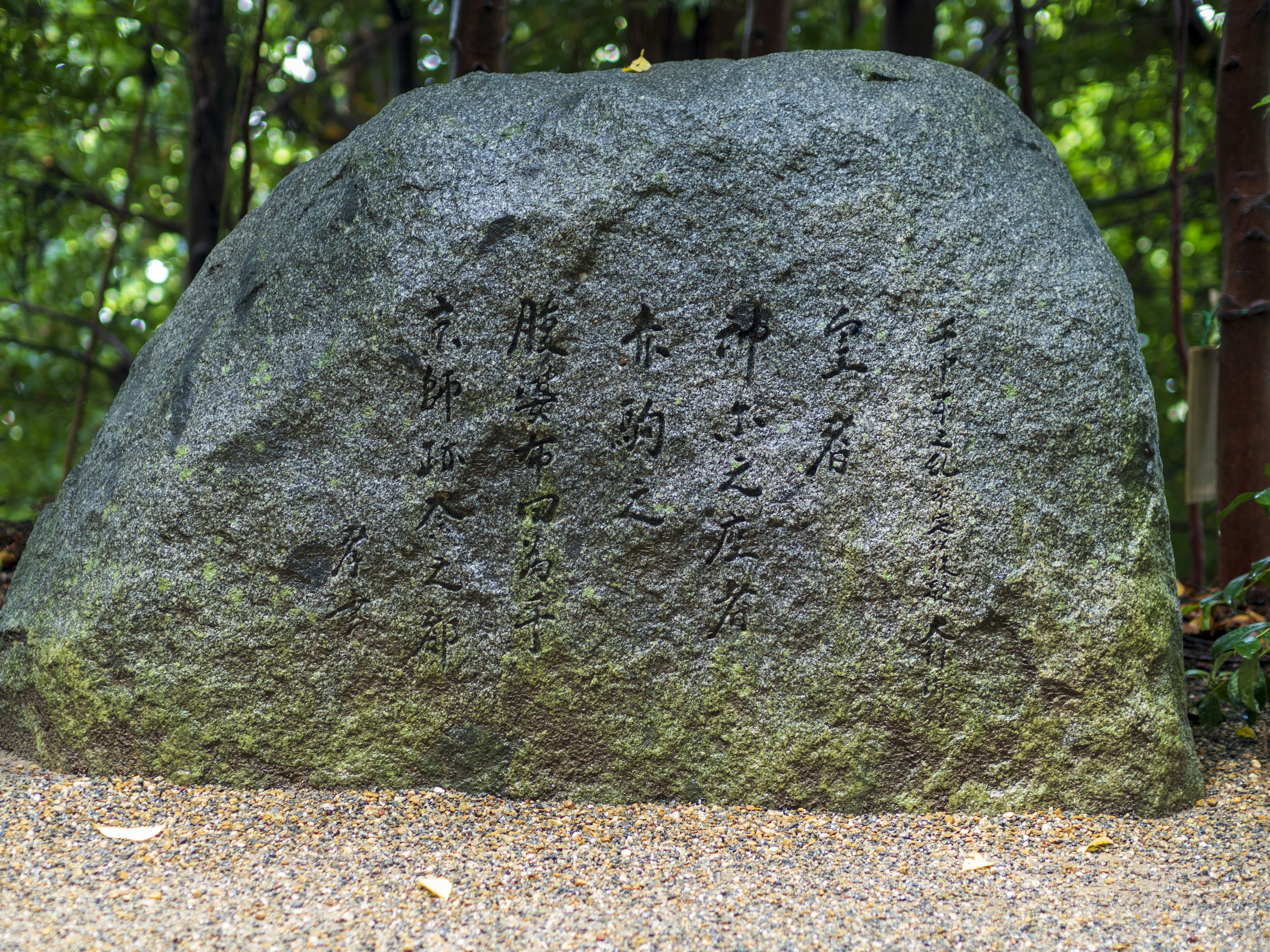 A large rock in nature with ancient inscriptions