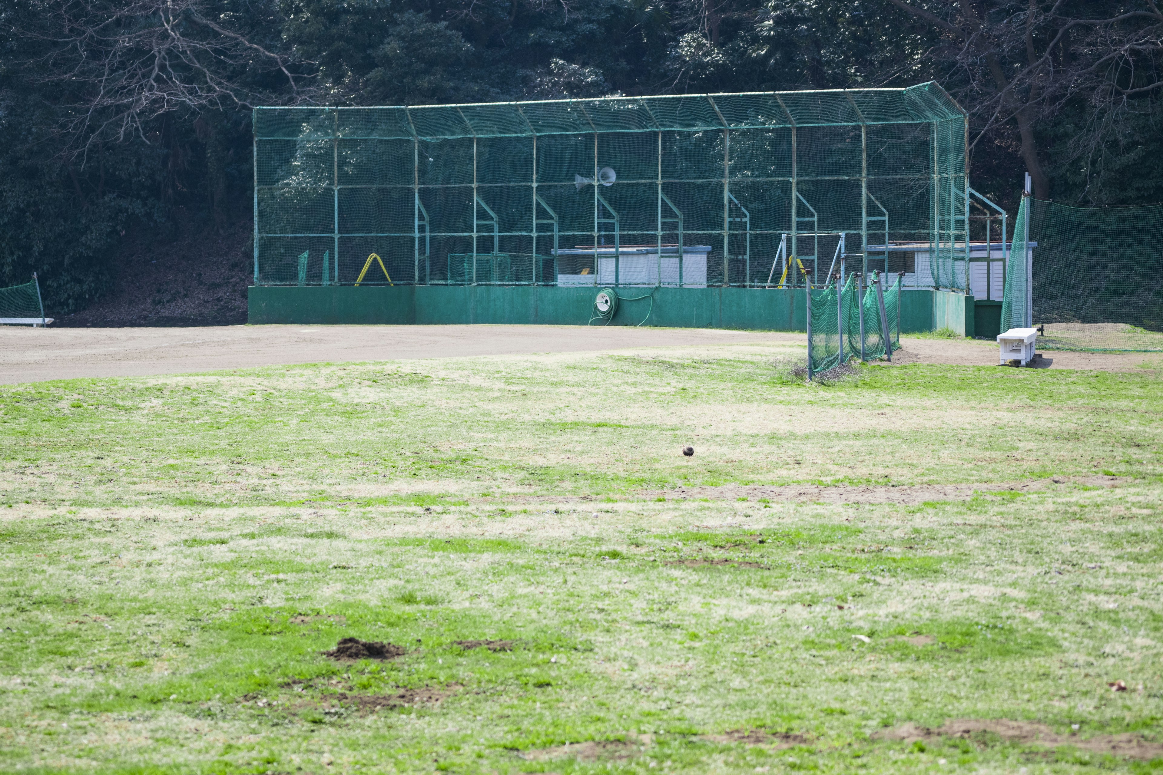 View of a green lawn and a baseball batting cage