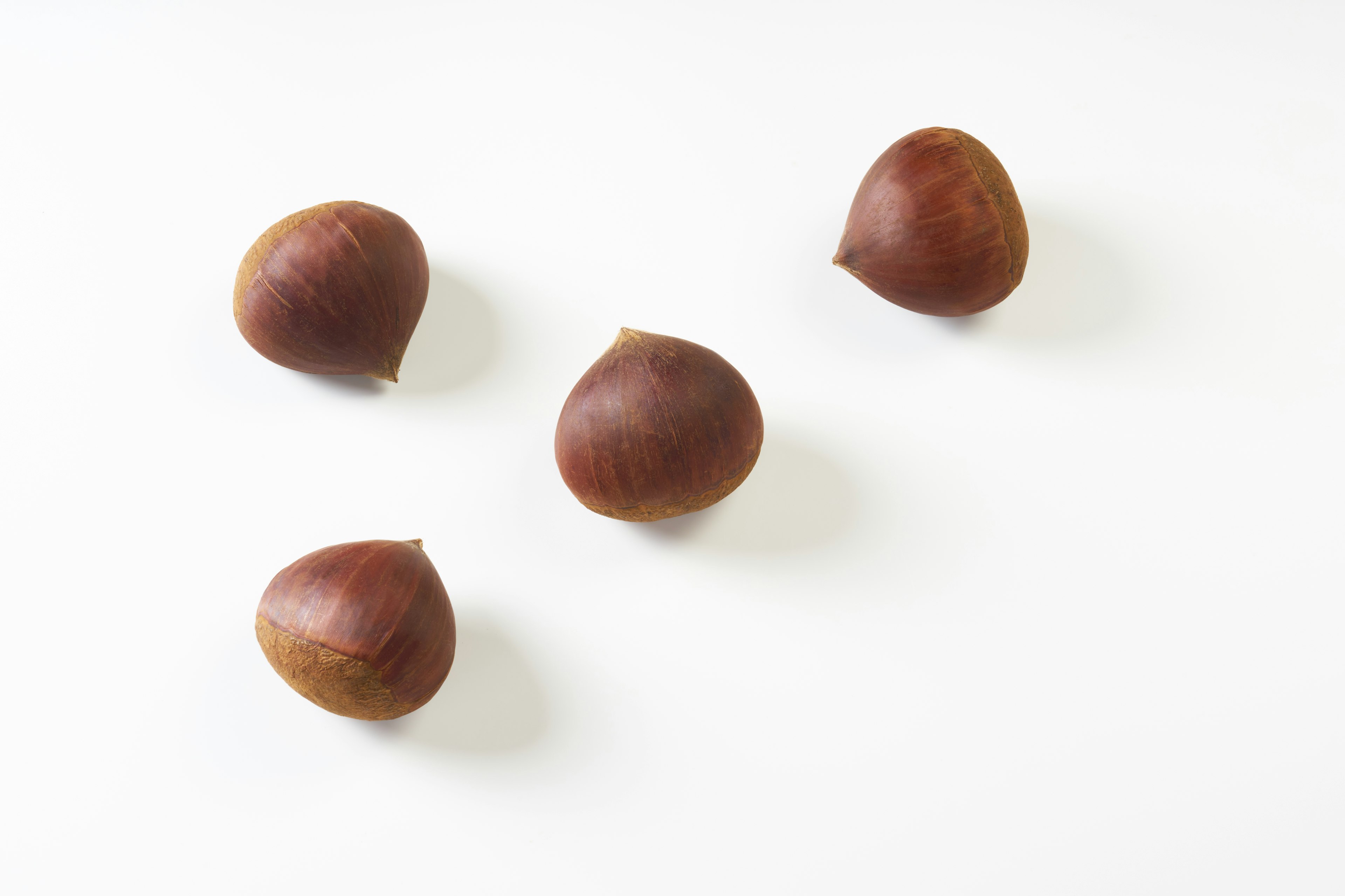 Four chestnuts arranged on a white background