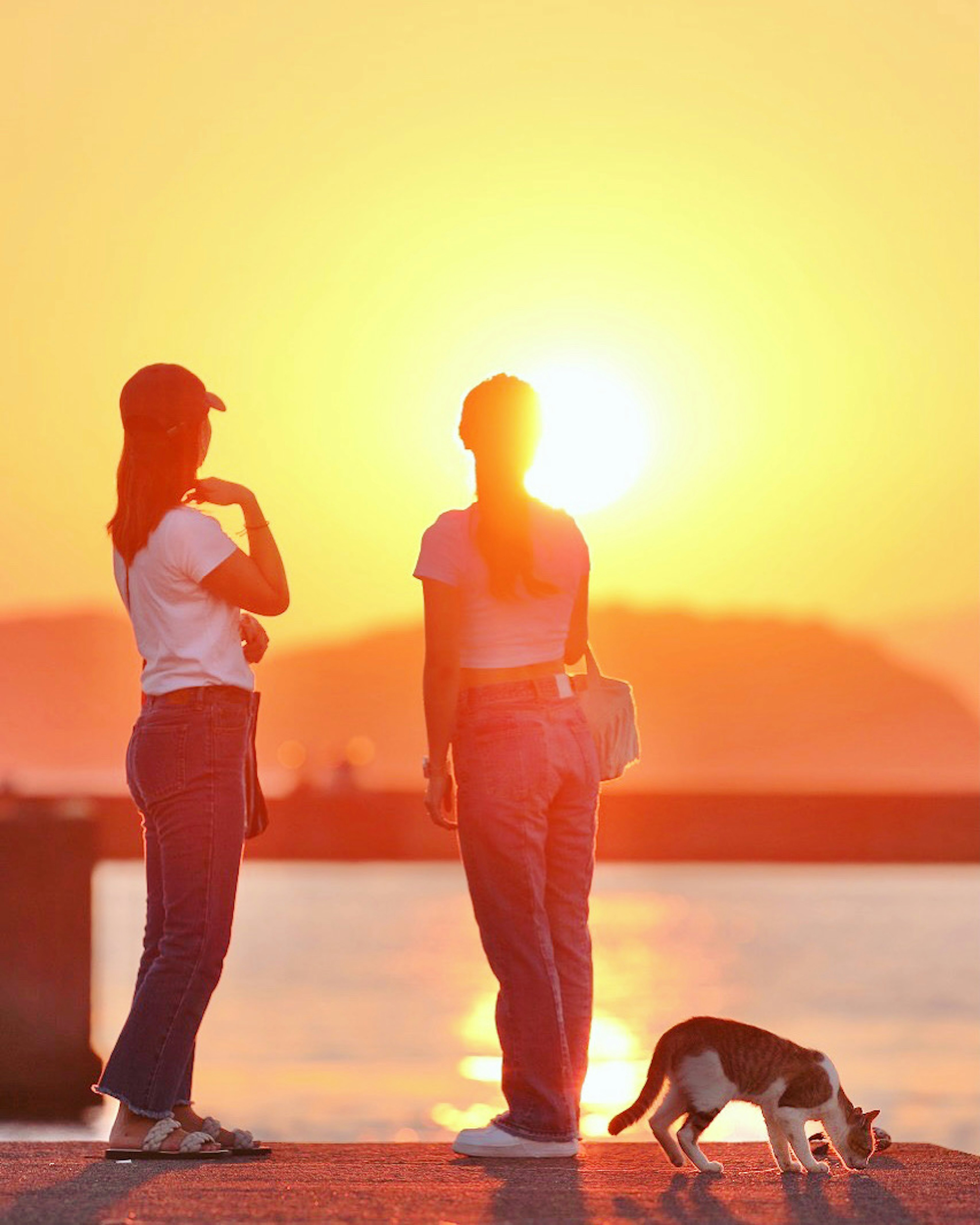 夕日を背にして立つ二人の女性と猫