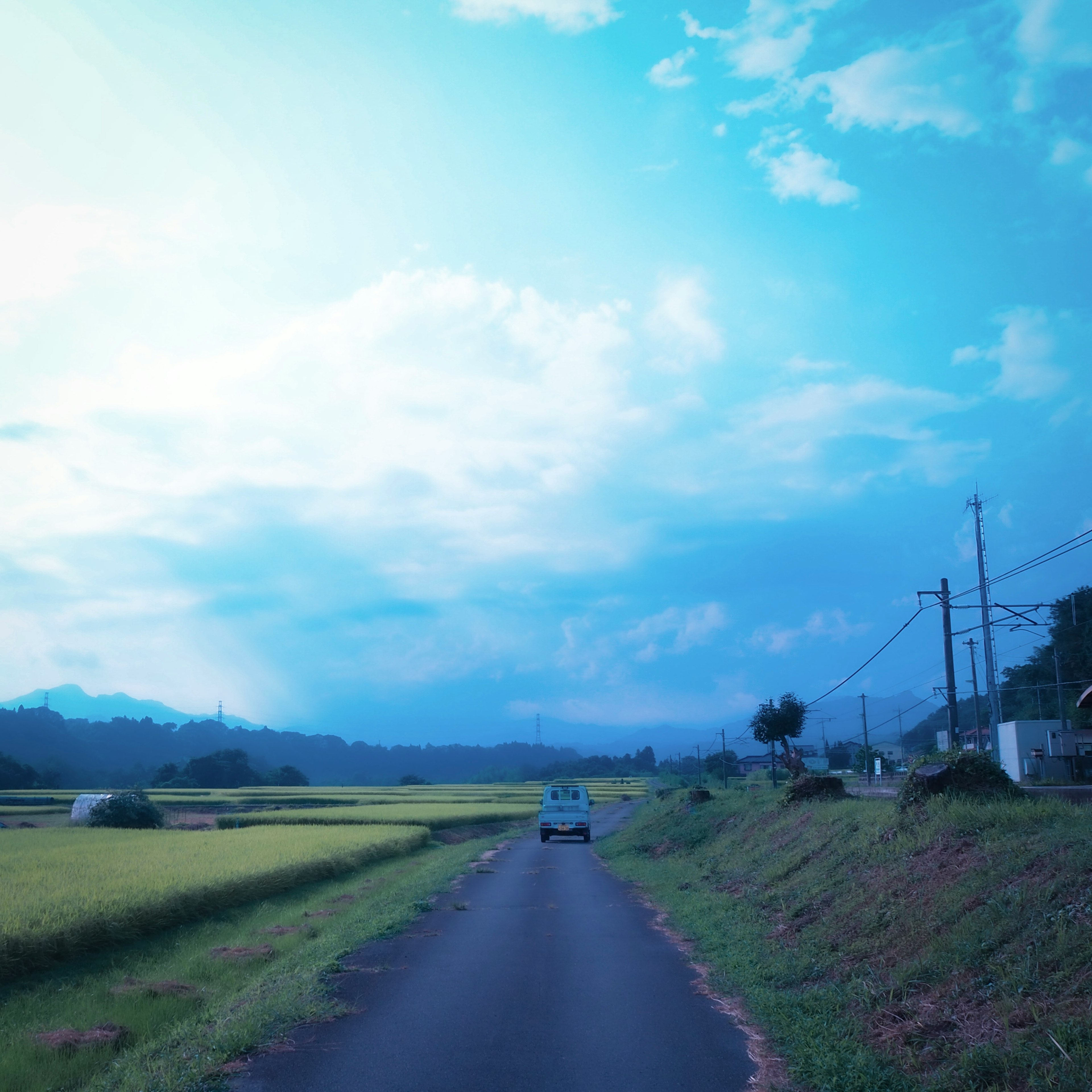 青い空の下の田舎道と稲田 車が走る風景