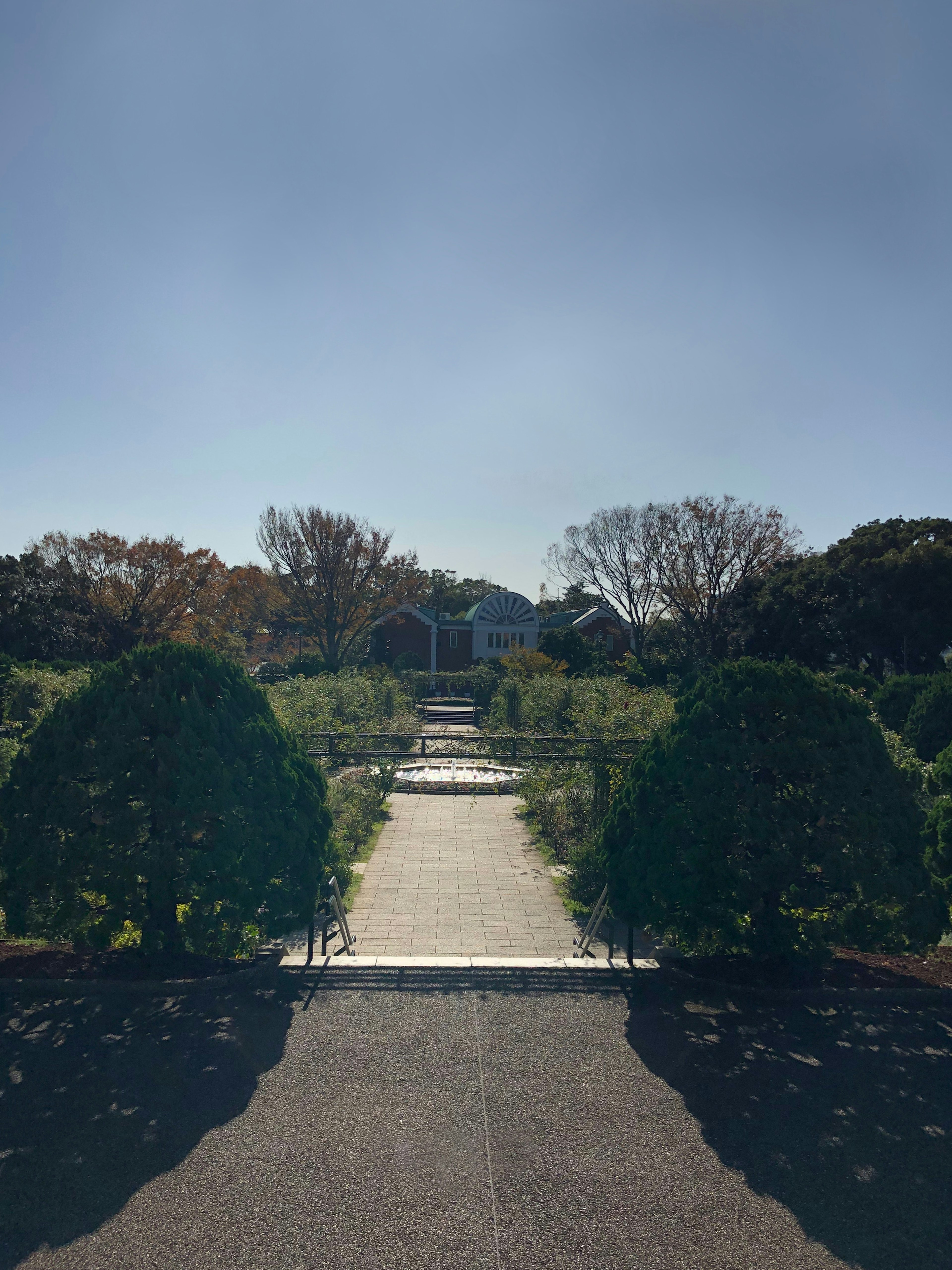 庭園の道と緑の生垣がある風景