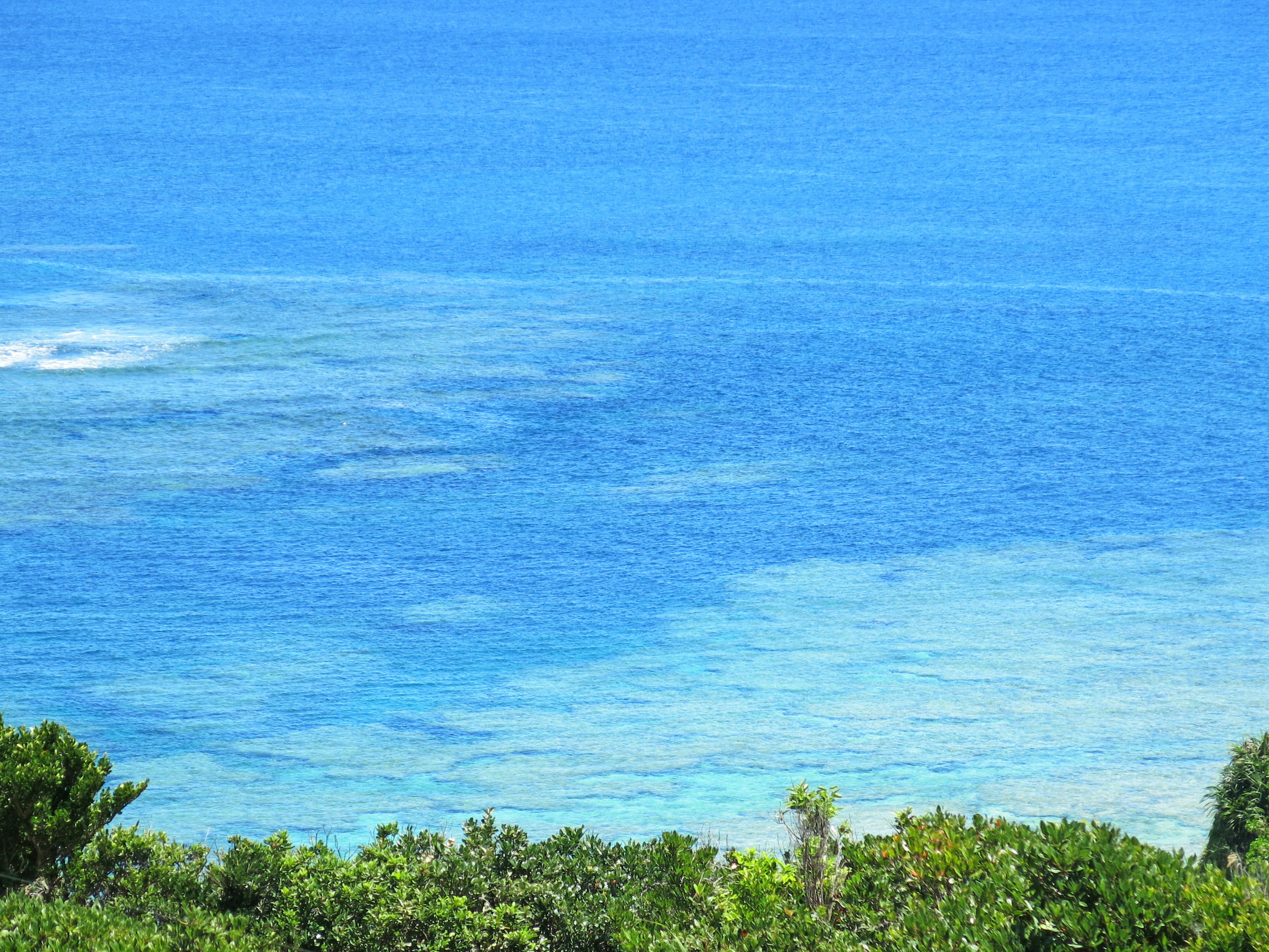 青い海とサンゴ礁が見える風景