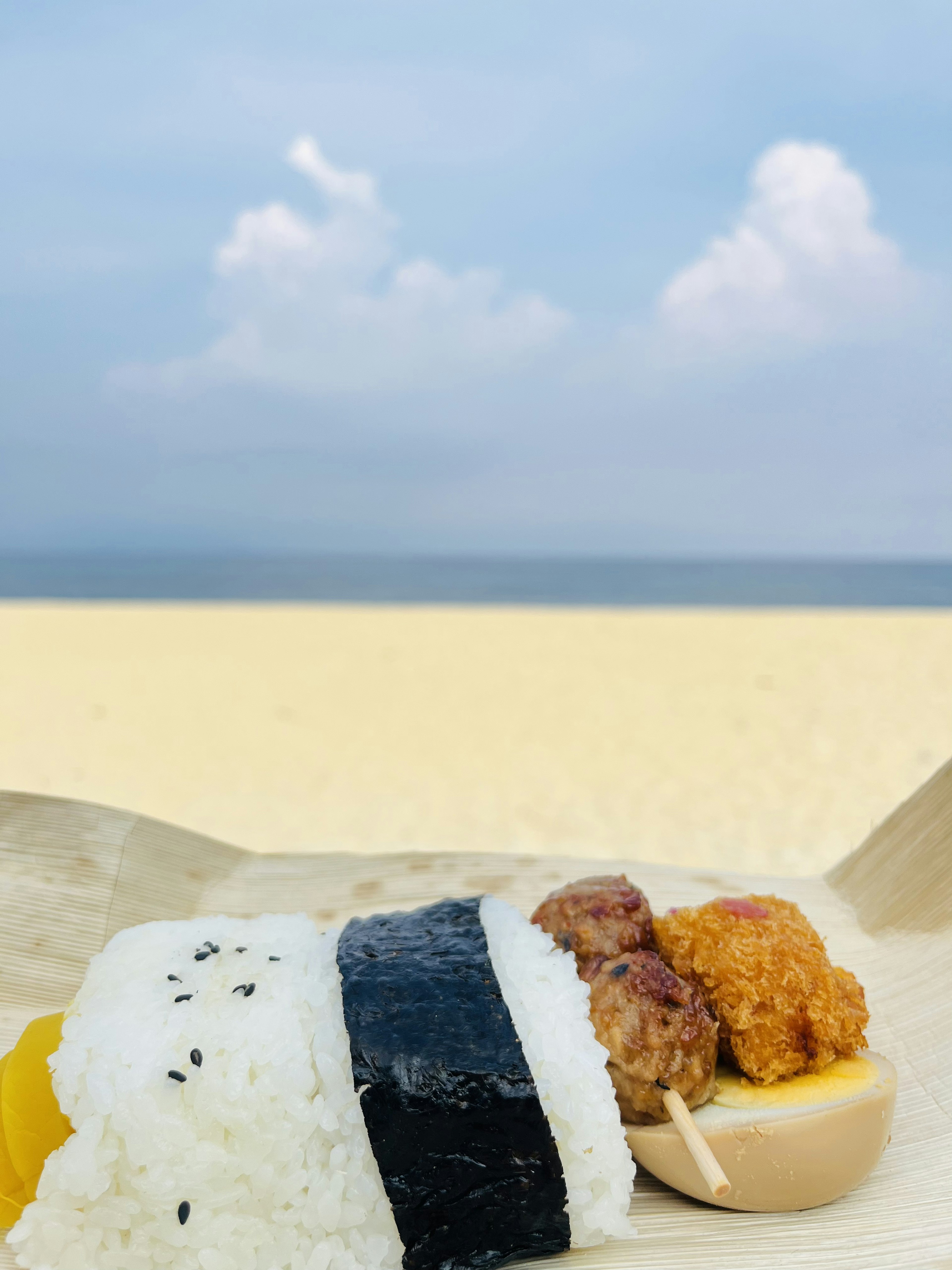 ビーチでの寿司プレートに白米と海苔とおかず