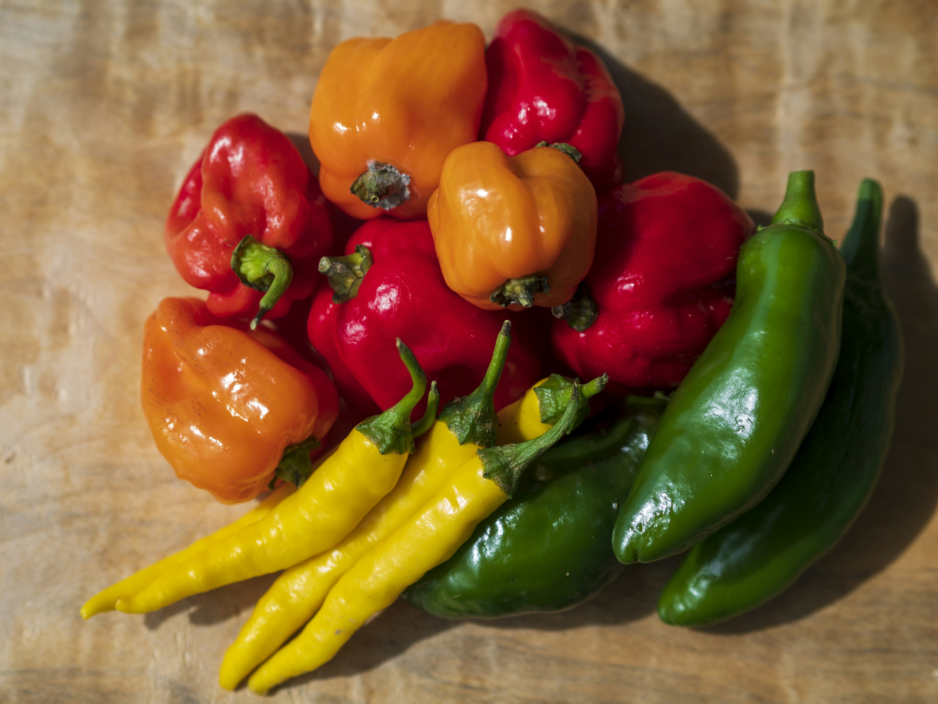 Lebendige rote und gelbe Paprika neben grünen Chilischoten auf einem Holzbrett angeordnet