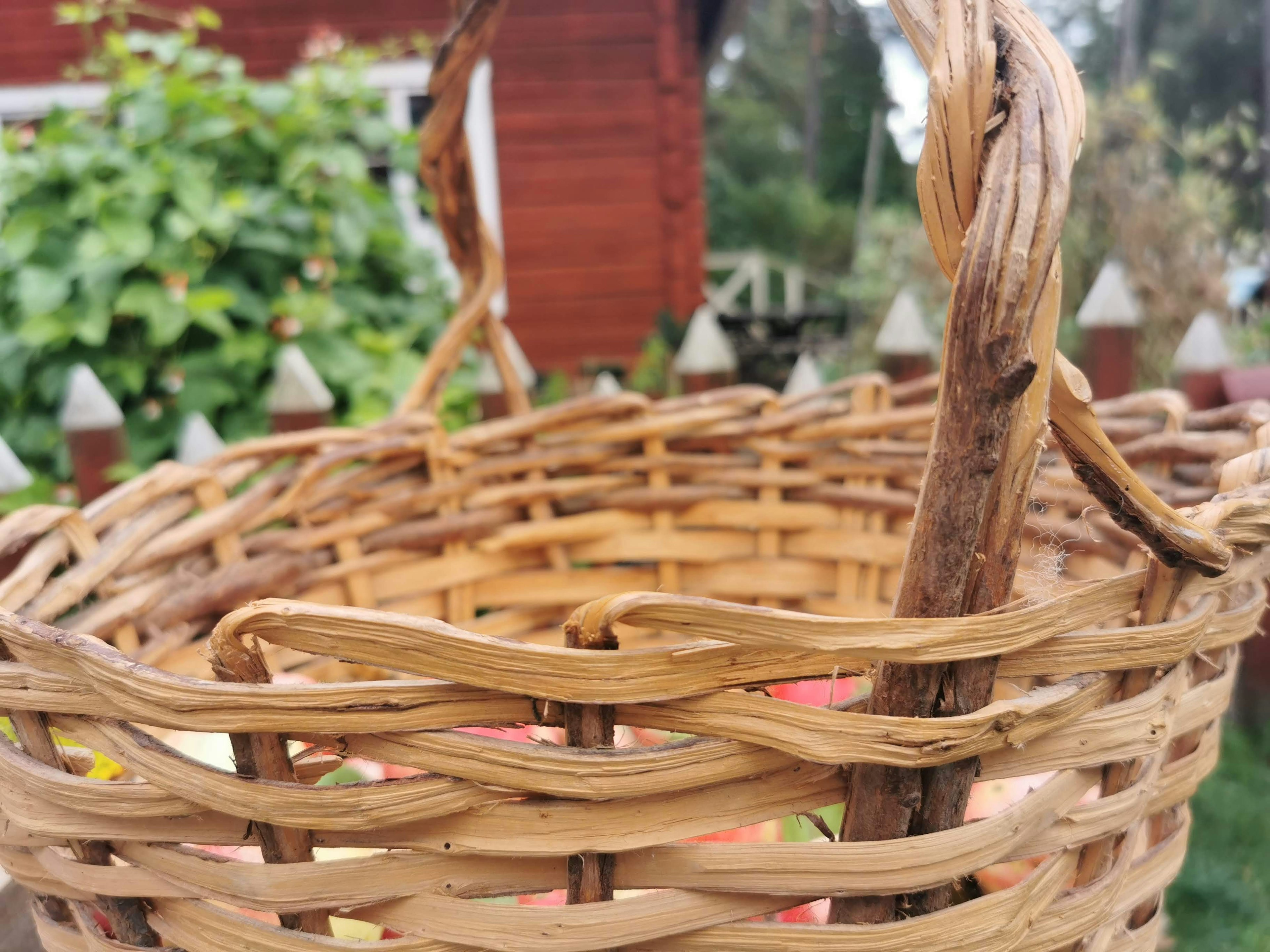 Nahaufnahme eines geflochtenen Korbs mit Holzgriff grüne Pflanzen und ein rotes Gartenhaus im Hintergrund