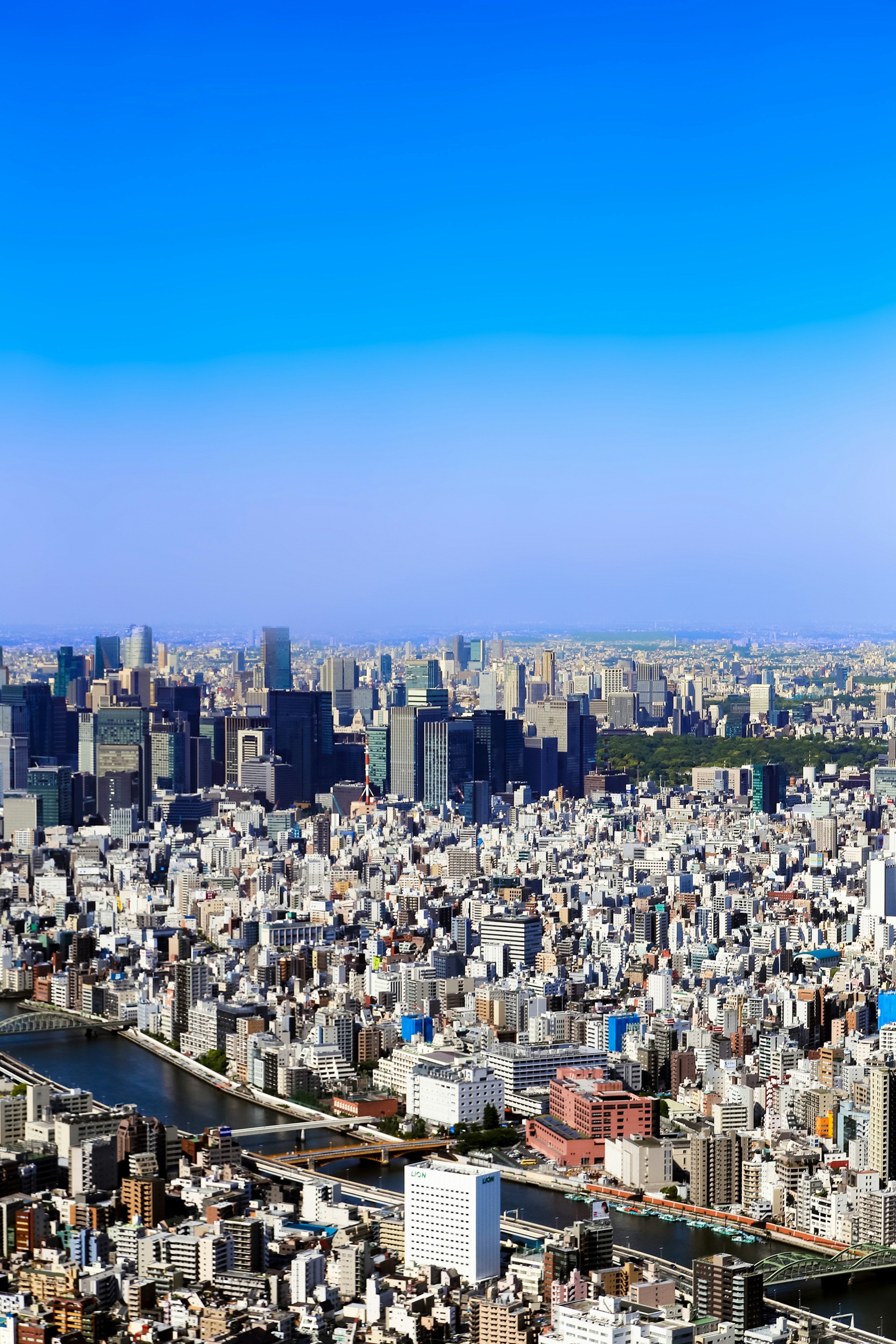 Una vista panoramica dei grattacieli di Tokyo sotto un cielo blu chiaro