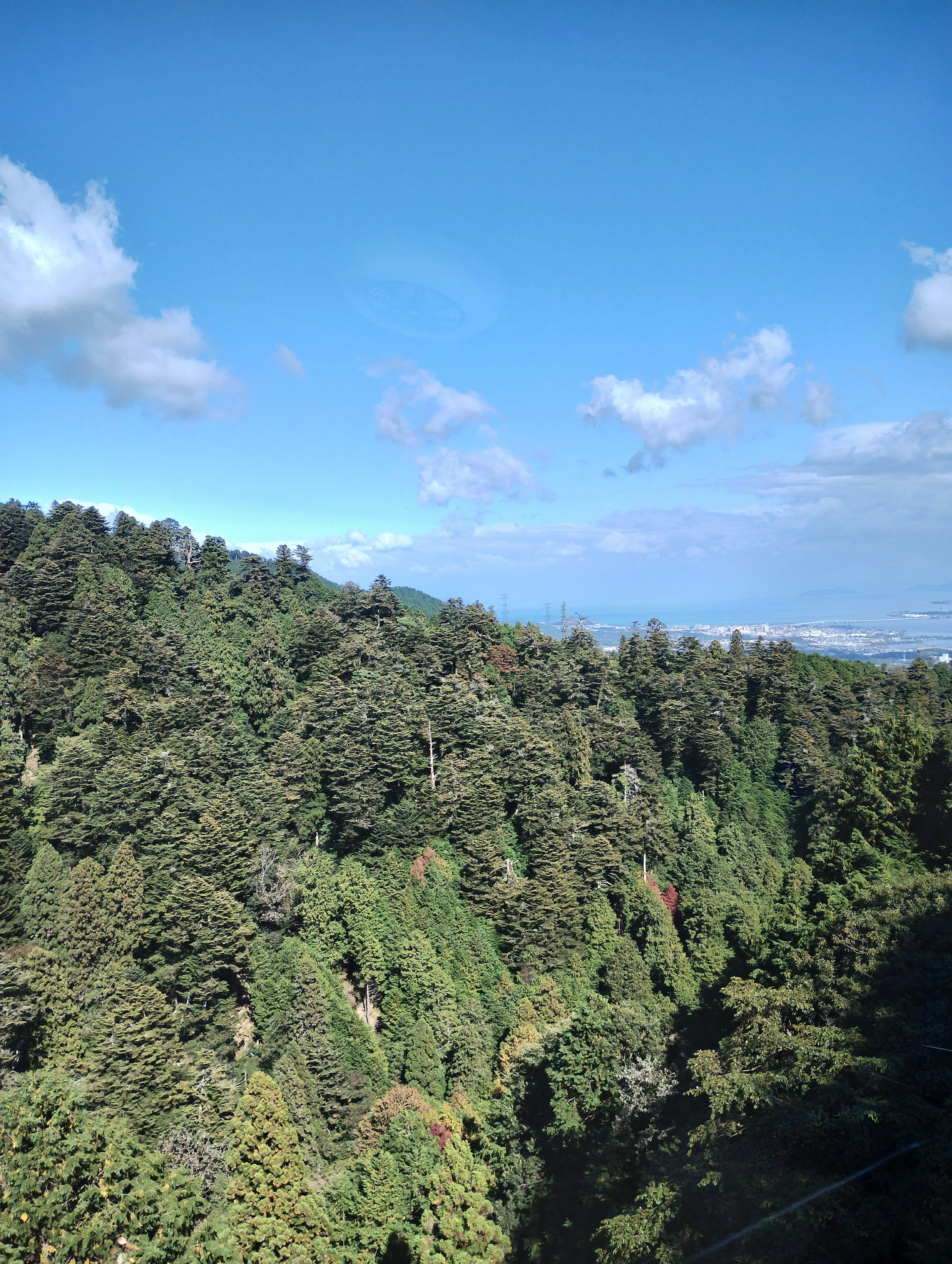 青空と緑豊かな森林の景色を映した画像