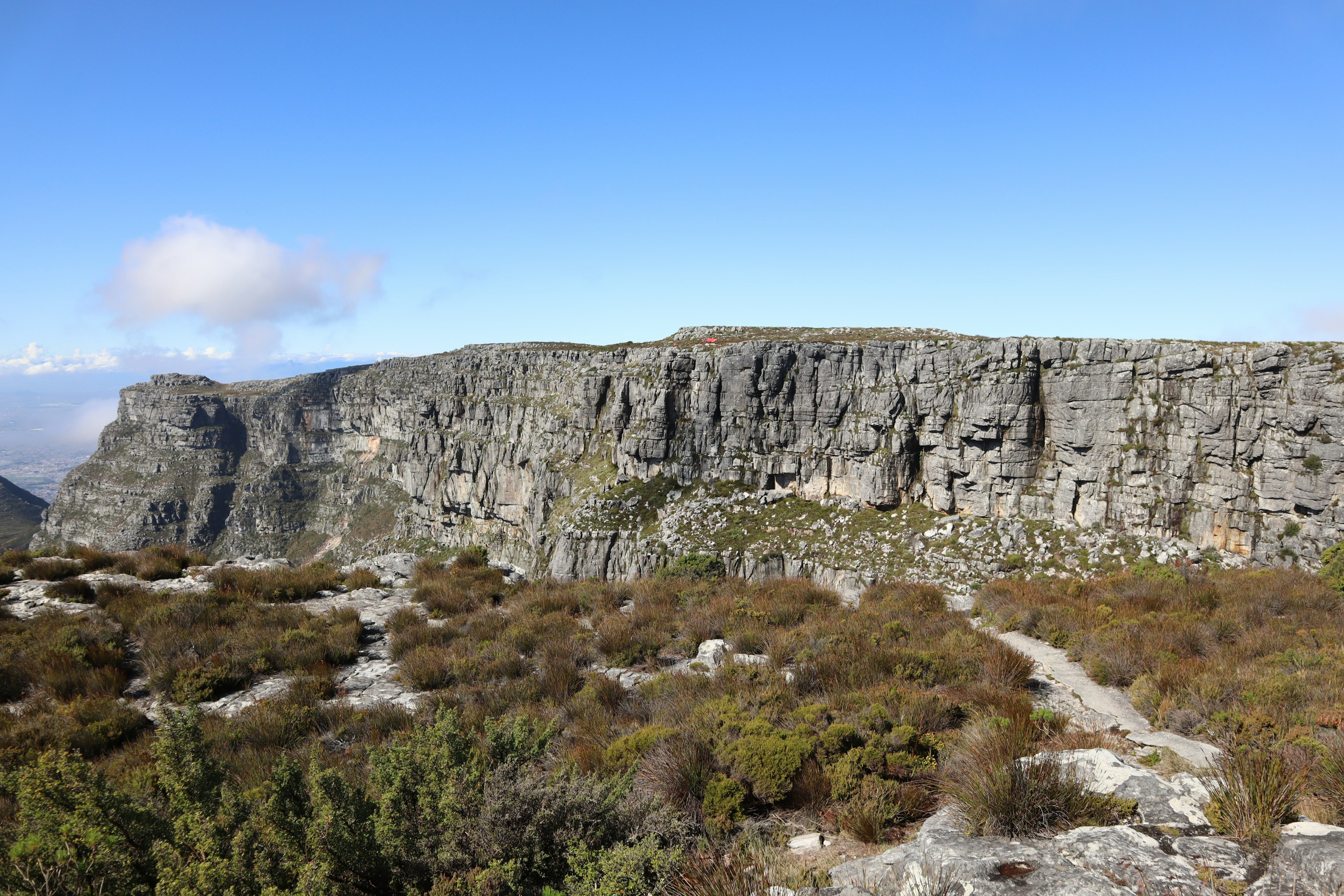 Khung cảnh hùng vĩ của Table Mountain với vách đá và thảm thực vật thưa thớt