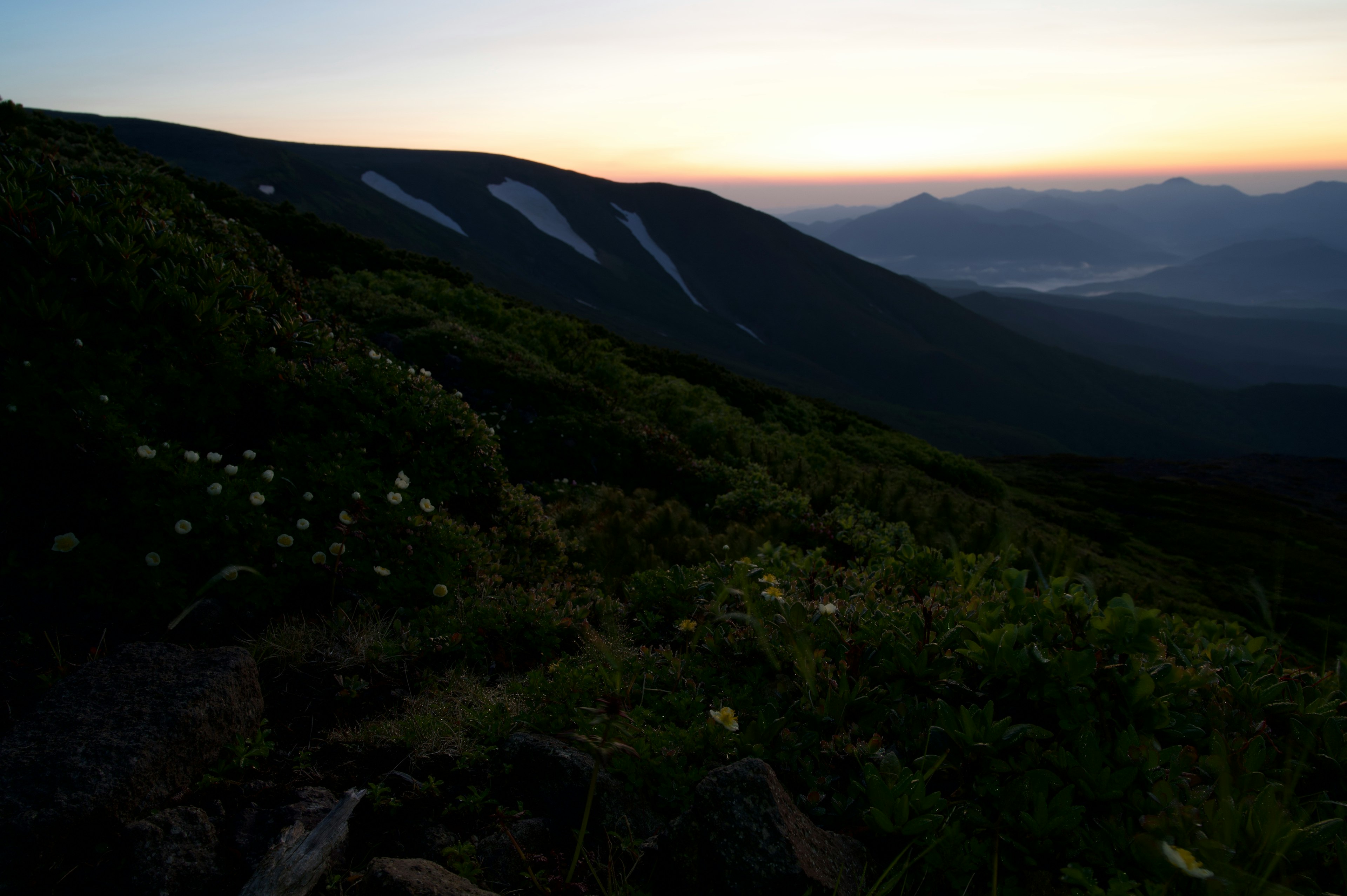 夕暮れ時の山の風景 緑の草花と遠くの山々が見える