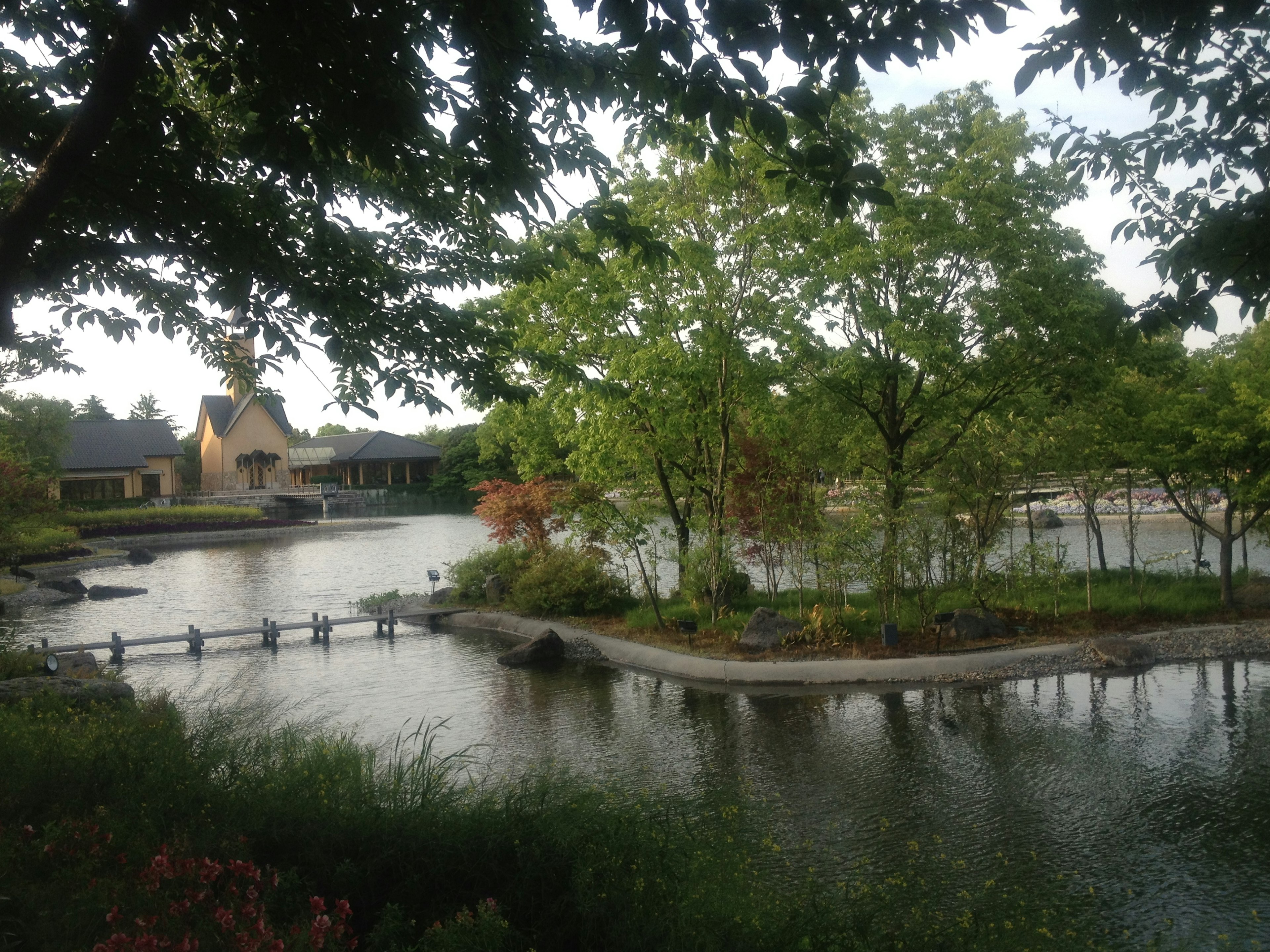 Malersicher Blick auf einen Teich, umgeben von üppigen Bäumen