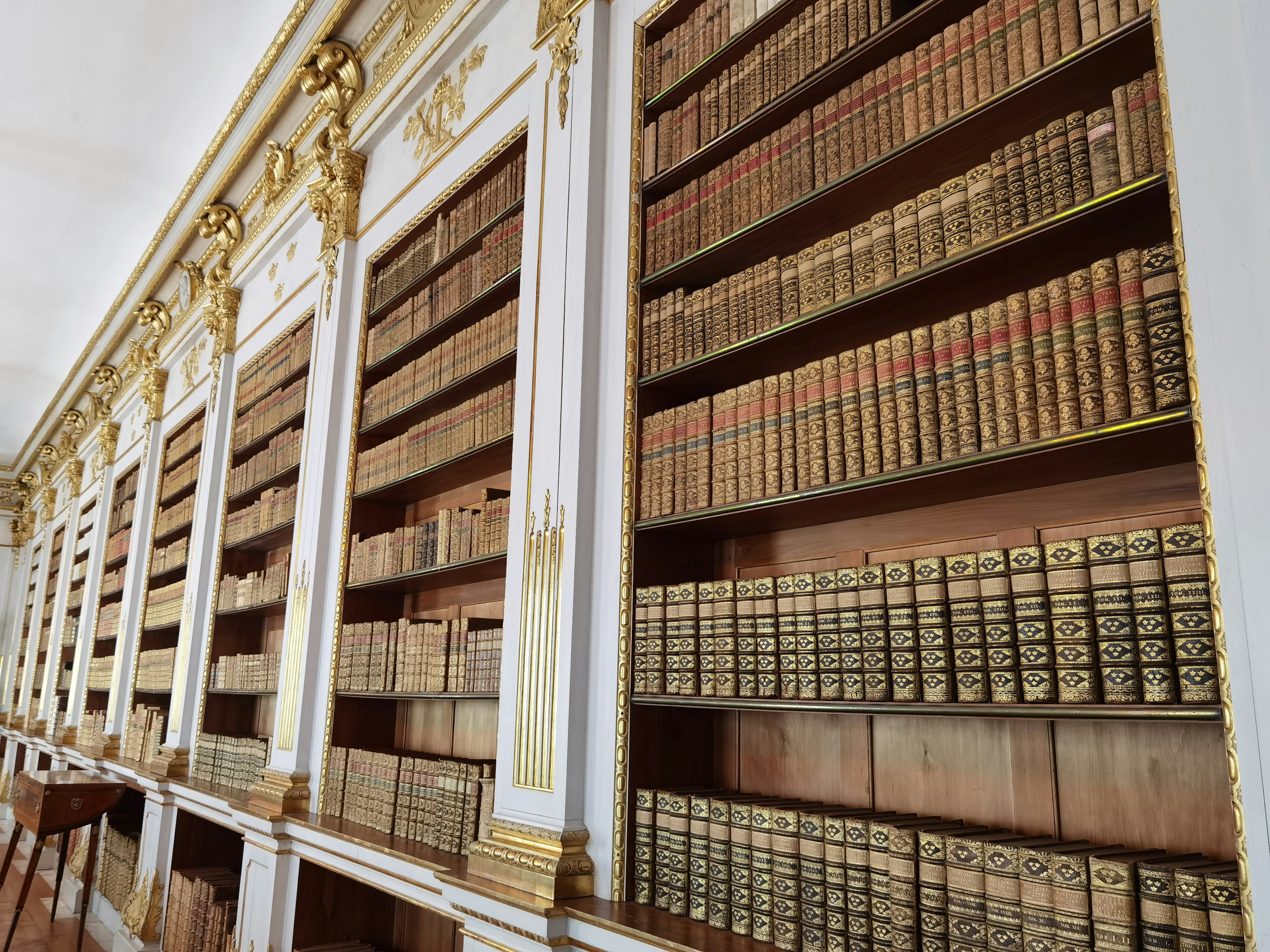 Elegant bookshelf with classic books and decorative columns