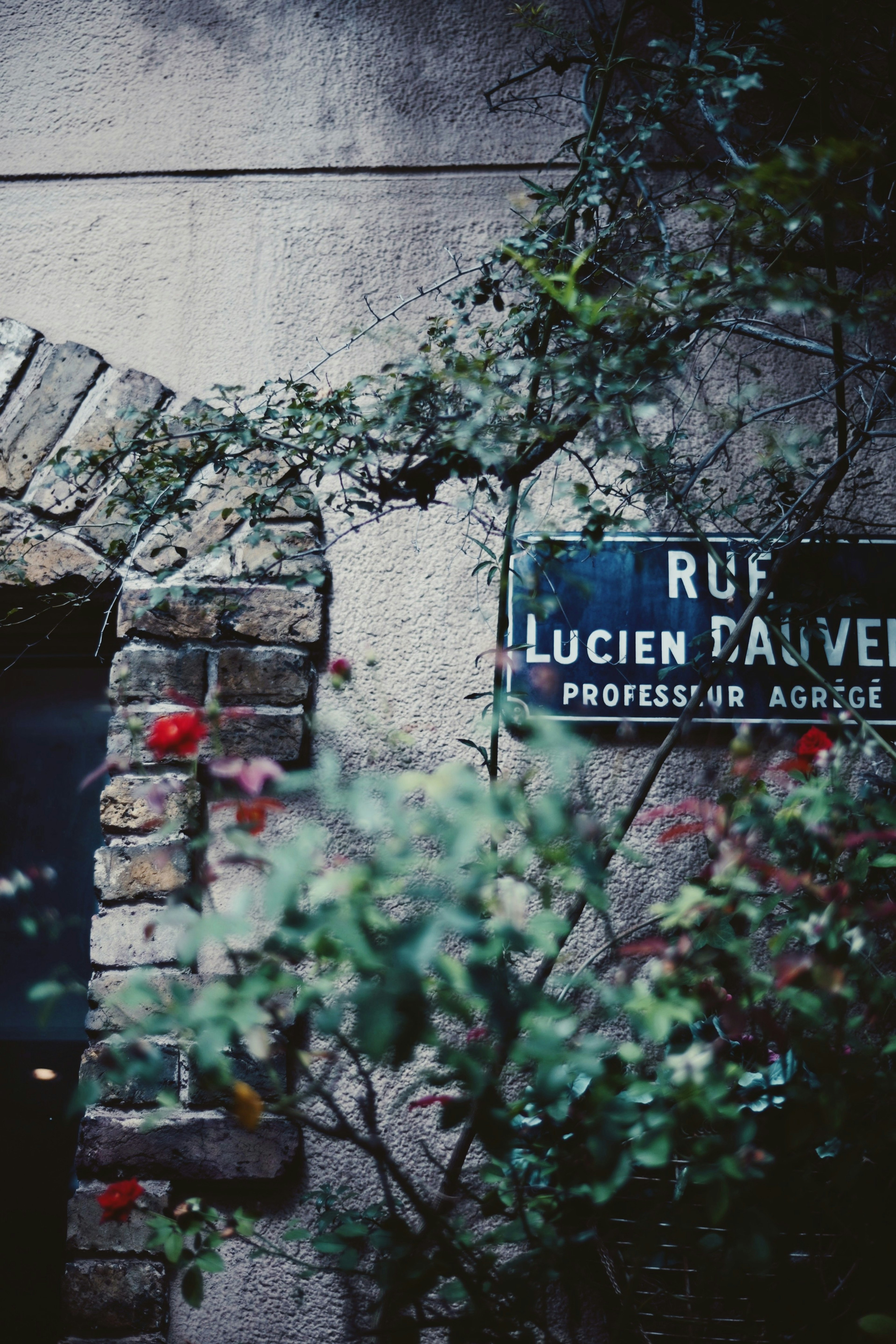 Blue street sign for Rue Lucien Dalvé with stone arch and greenery