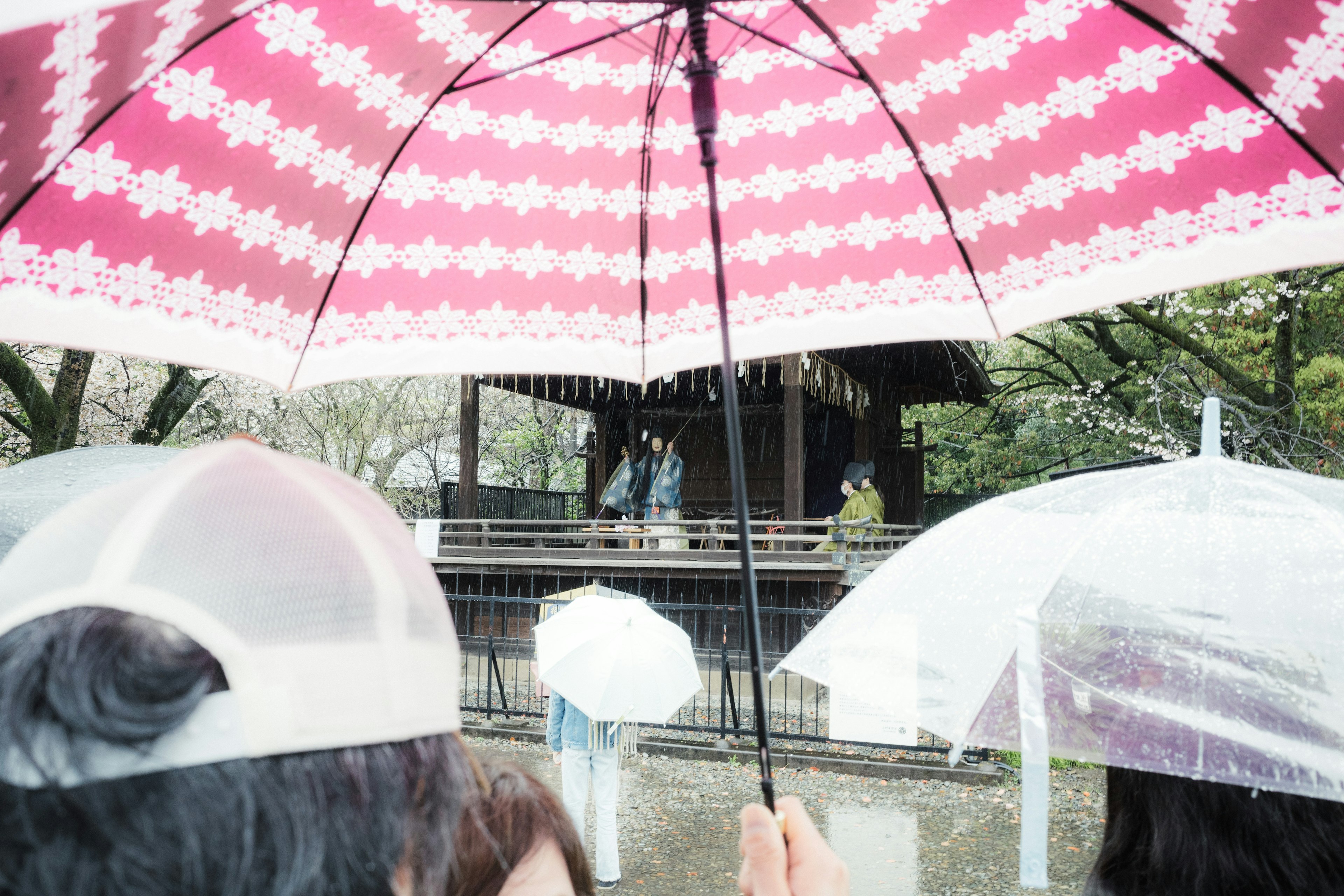 桜の木の下で傘をさしている人々と神社の建物