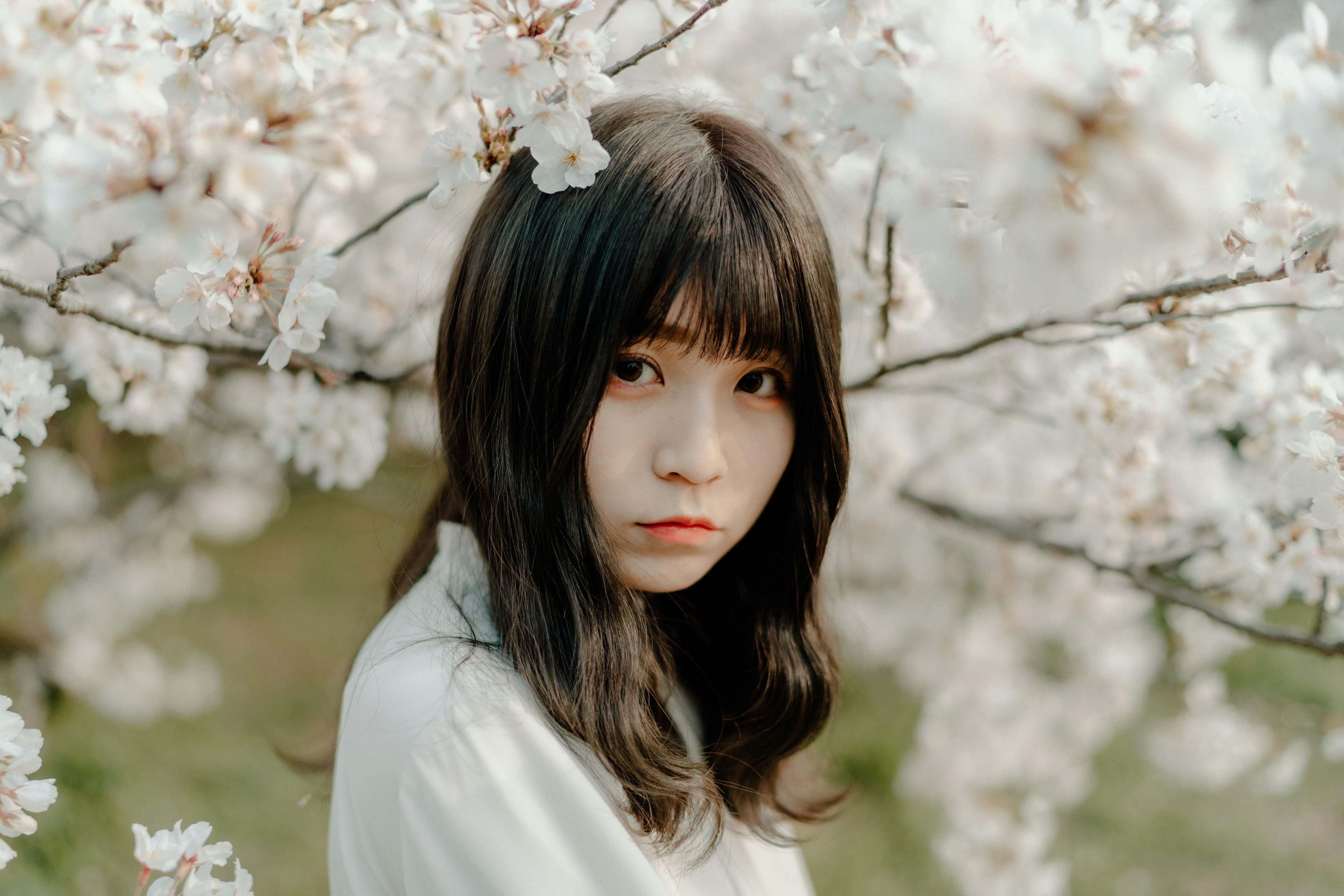 桜の花の間に佇む女性のポートレート