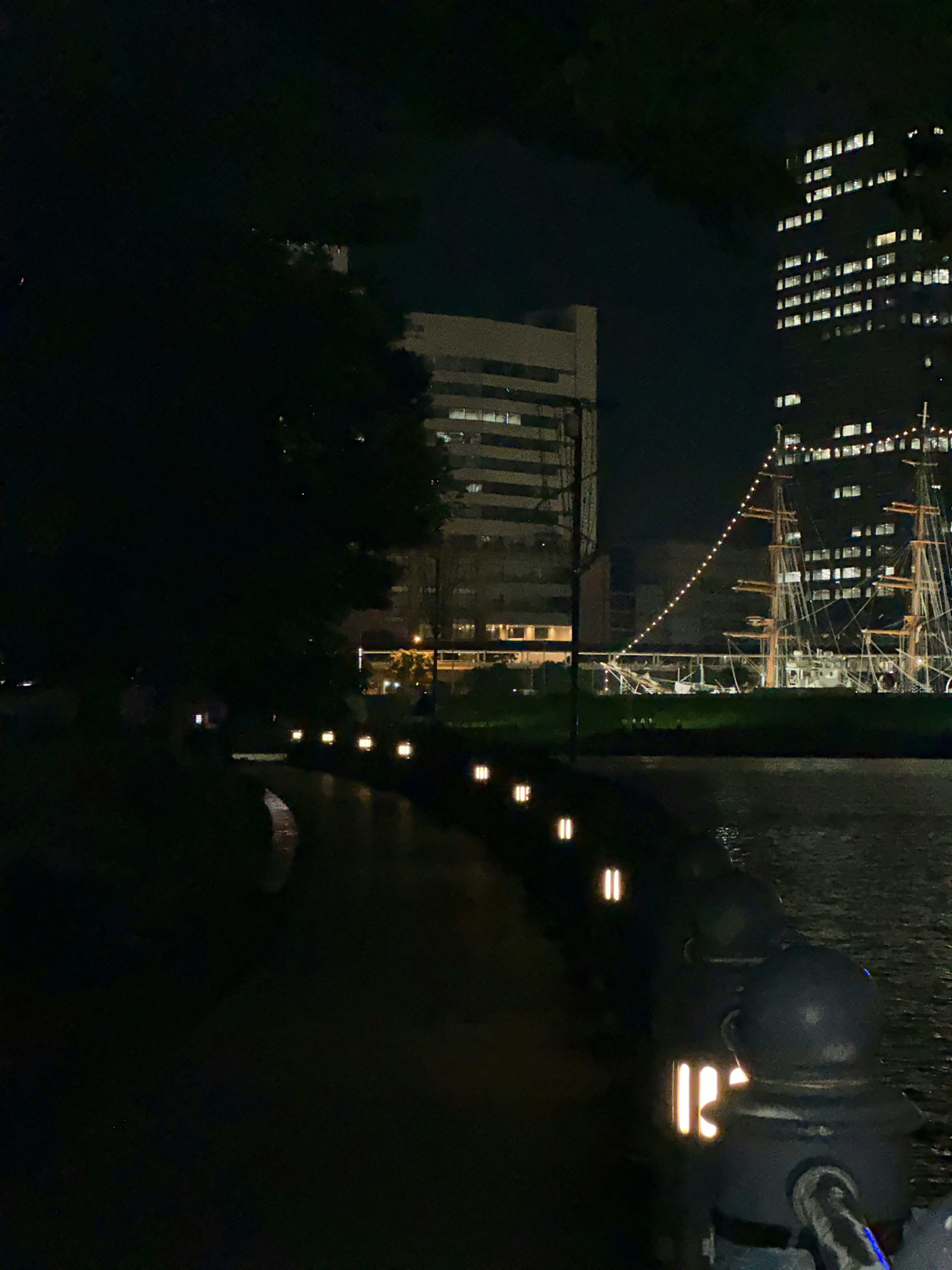 夜の公園の小道に沿って並ぶ照明と高層ビルが映る