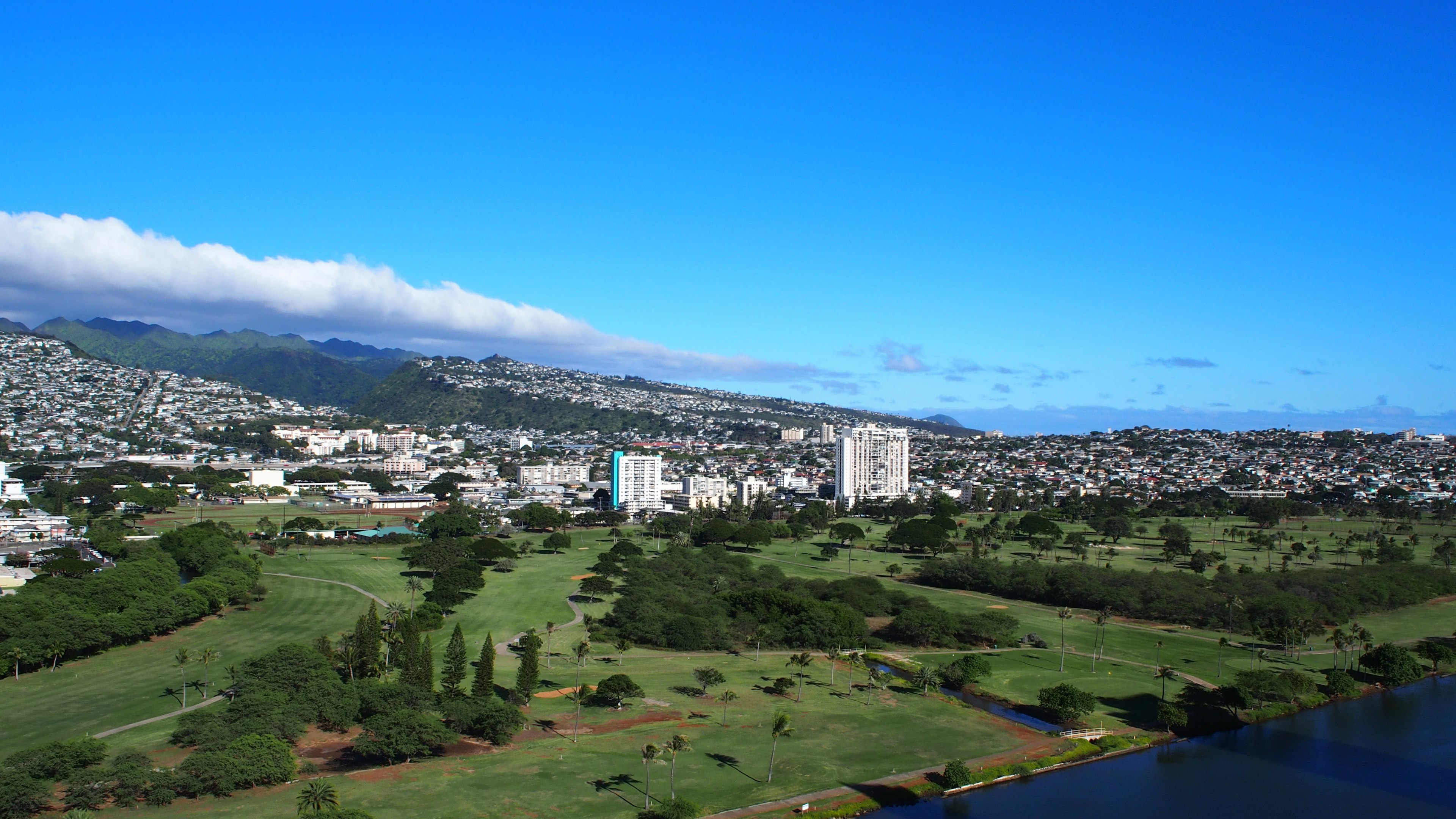 城市风景，绿地和建筑在晴朗的蓝天下