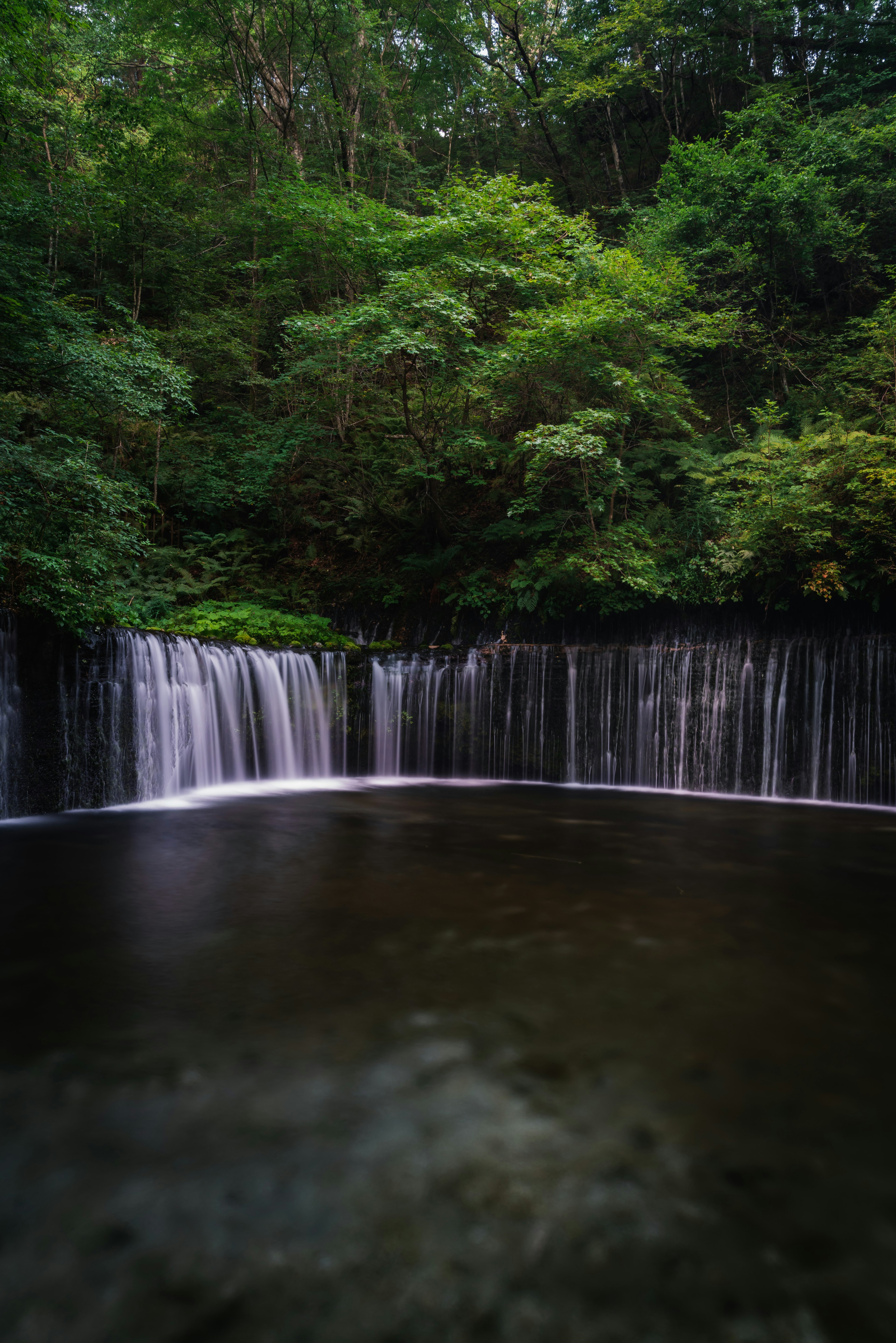 Serene waterfall cascading into a calm pool surrounded by lush greenery