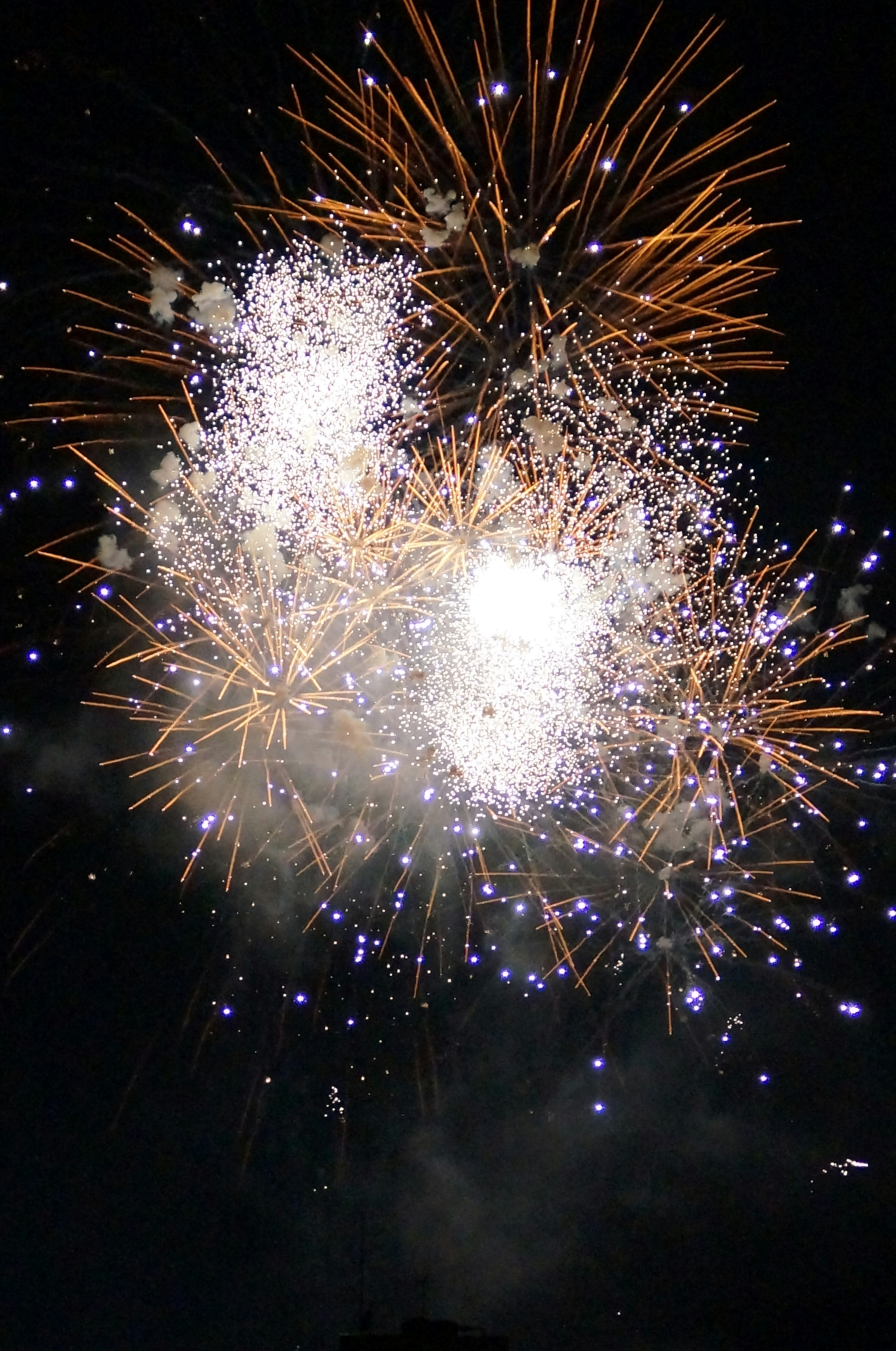 Vibrant fireworks exploding in the night sky