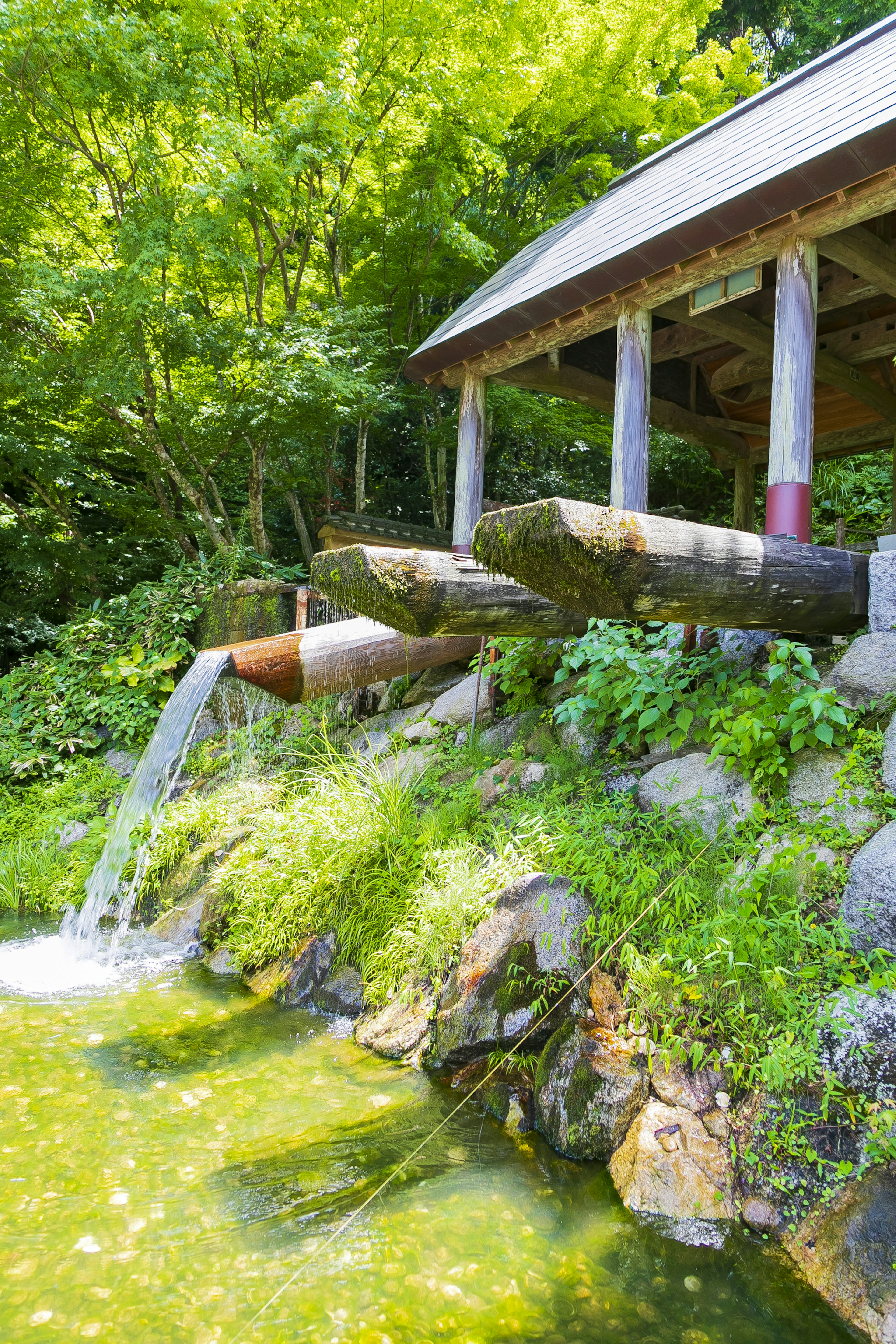 Traditional Japanese water feature with a wooden structure surrounded by greenery