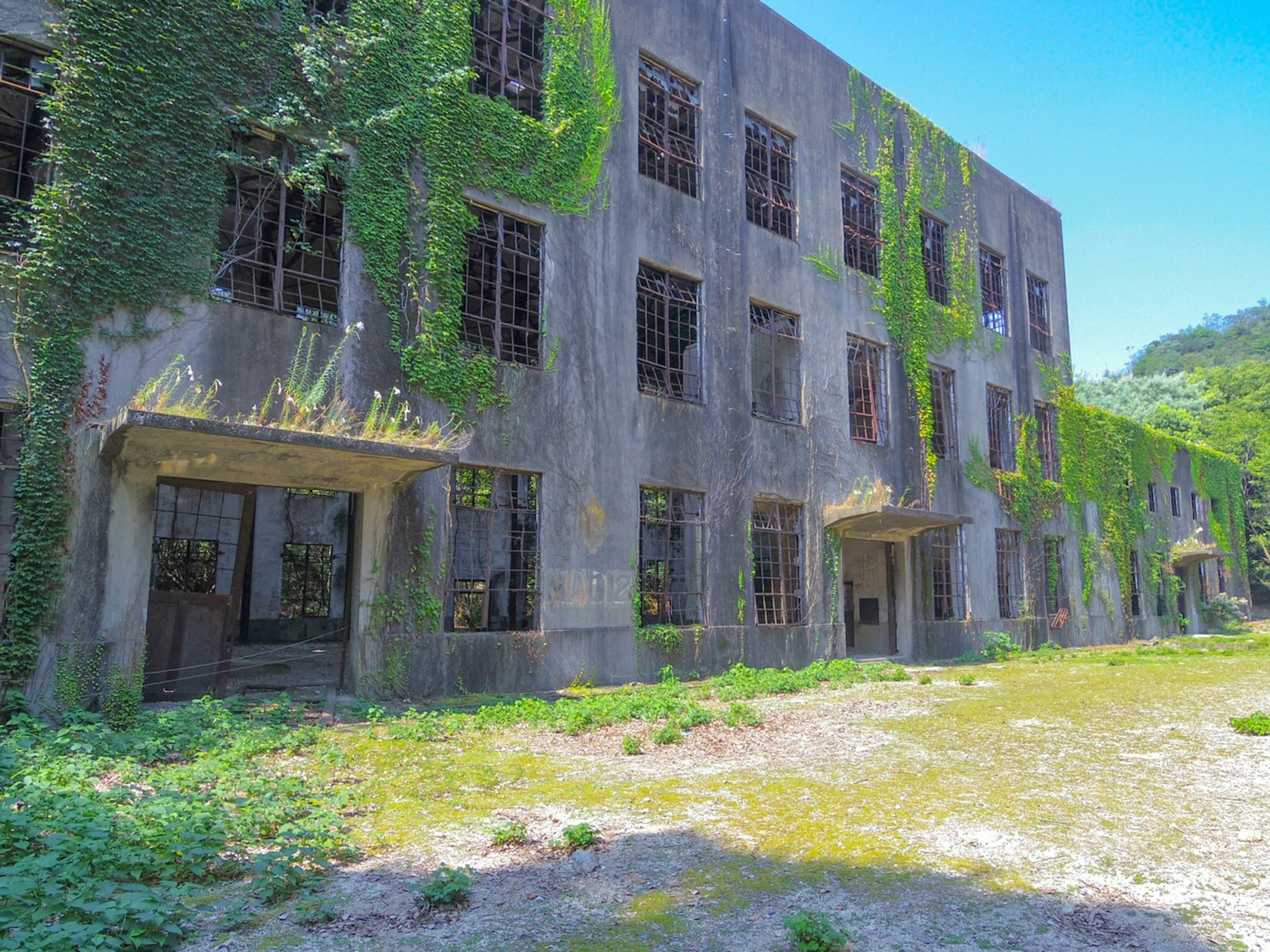 Abandoned building covered in green vines with a clear blue sky