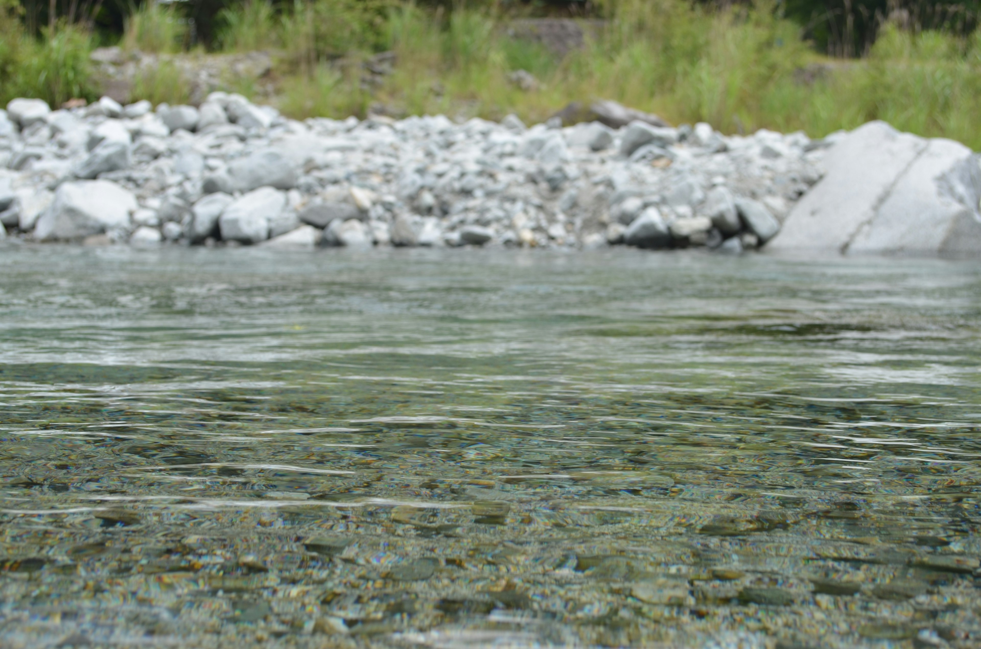 Eau claire coulant avec une berge rocheuse dans un cadre naturel