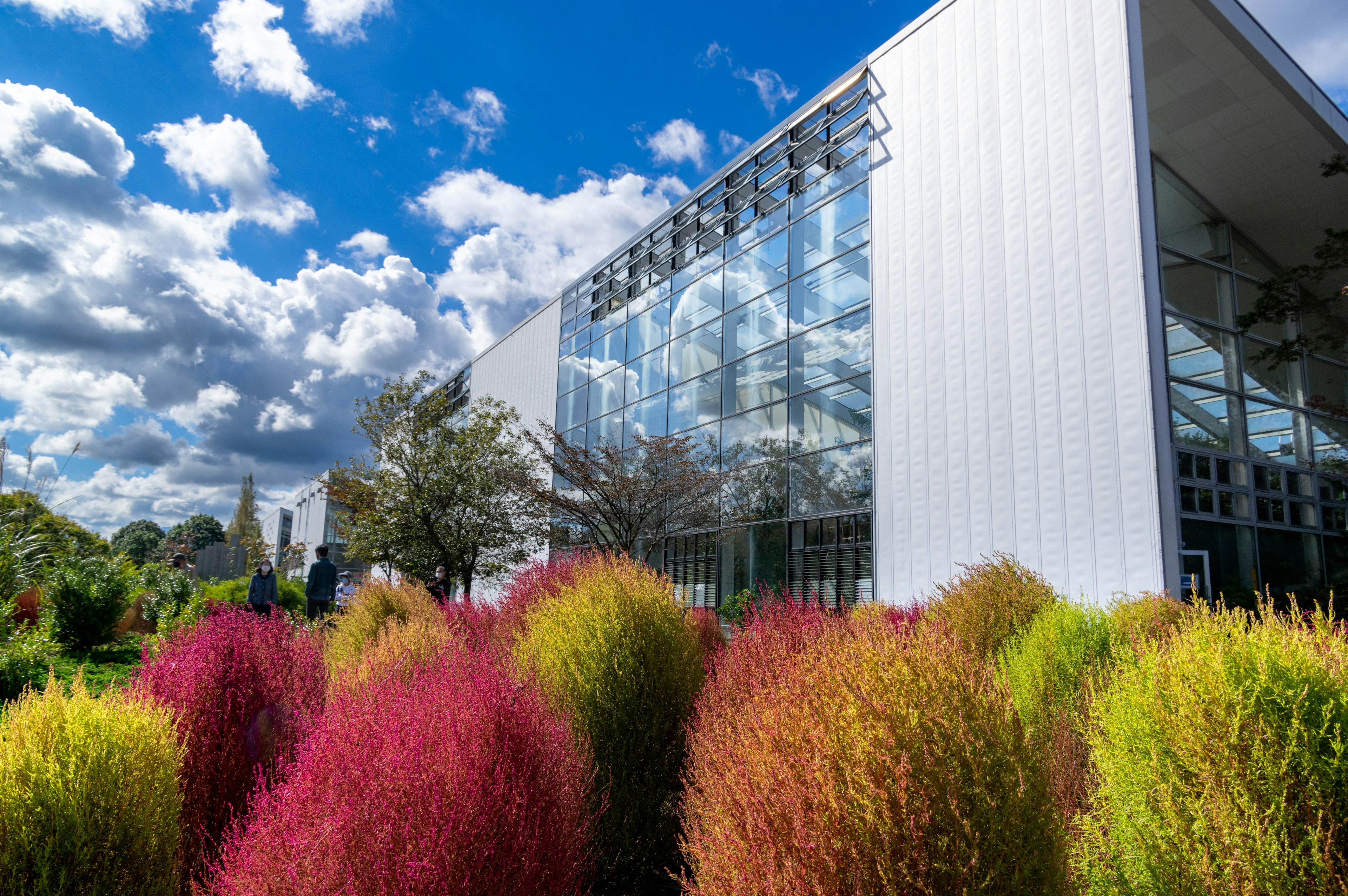 Edificio moderno con fogliame colorato in primo piano