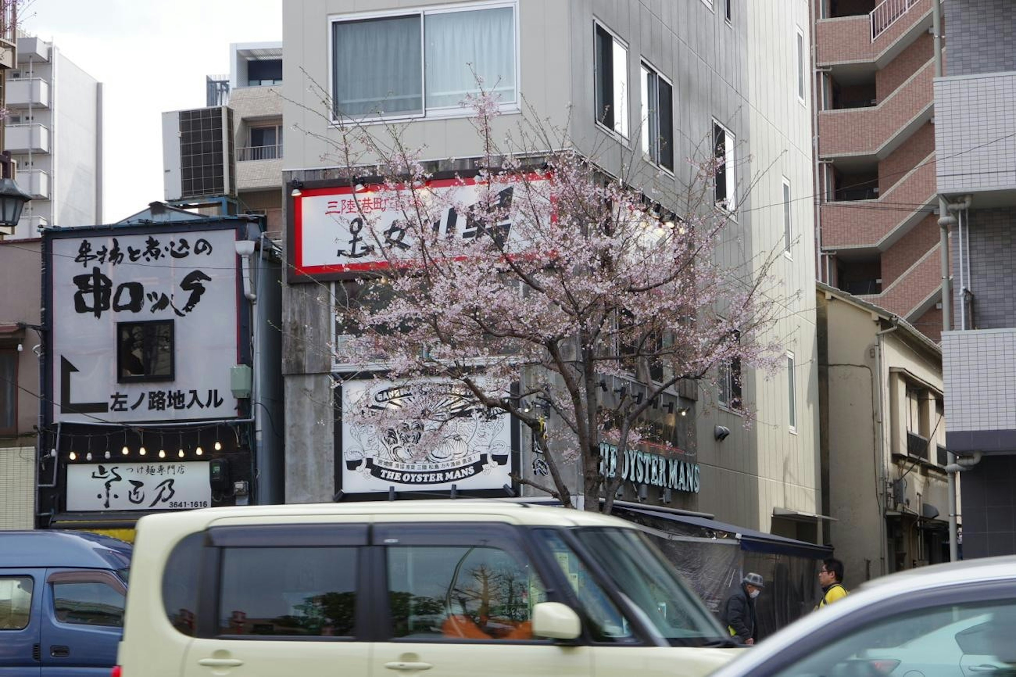 街景，樱花树和商业建筑