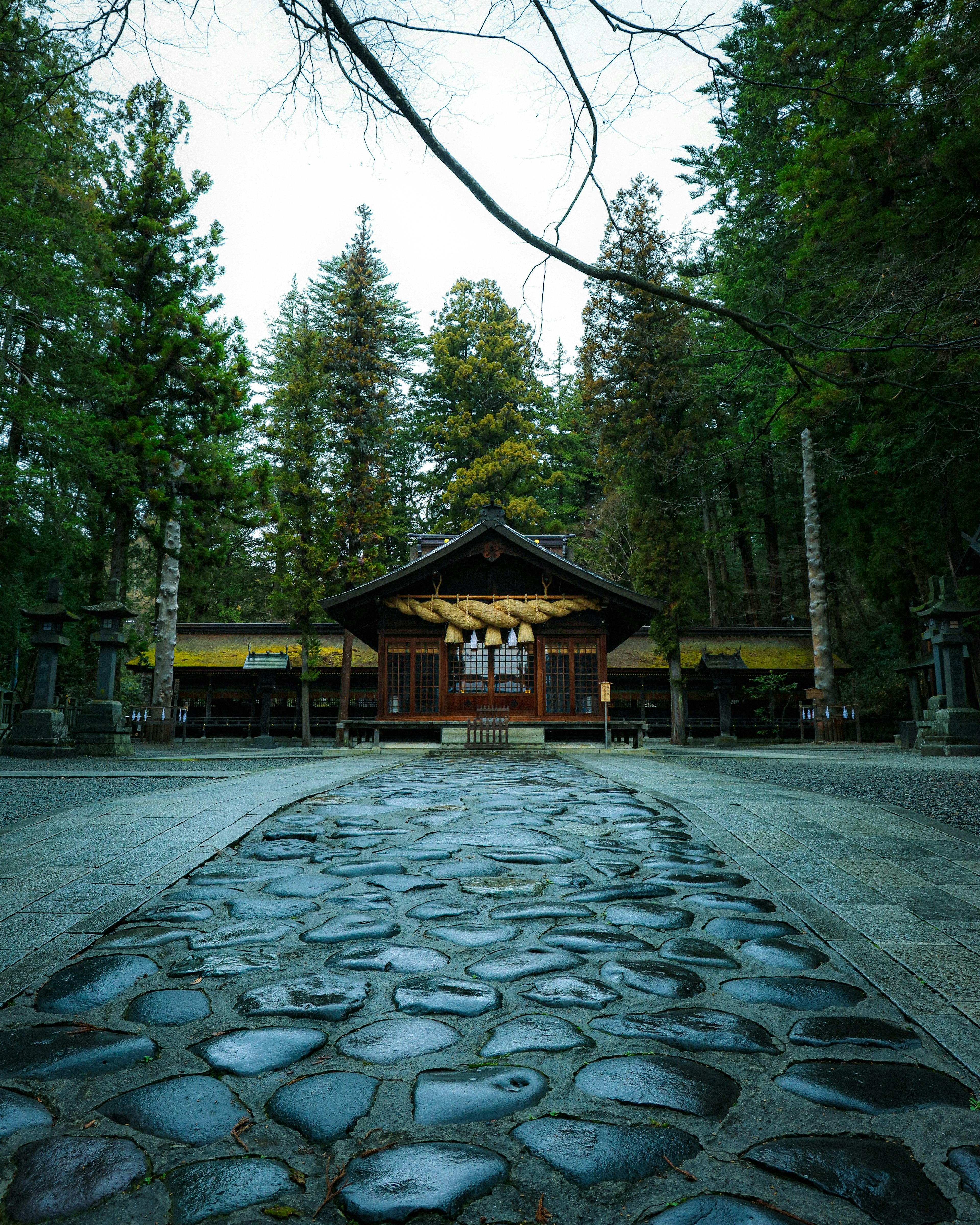 A shrine building surrounded by trees with a stone path