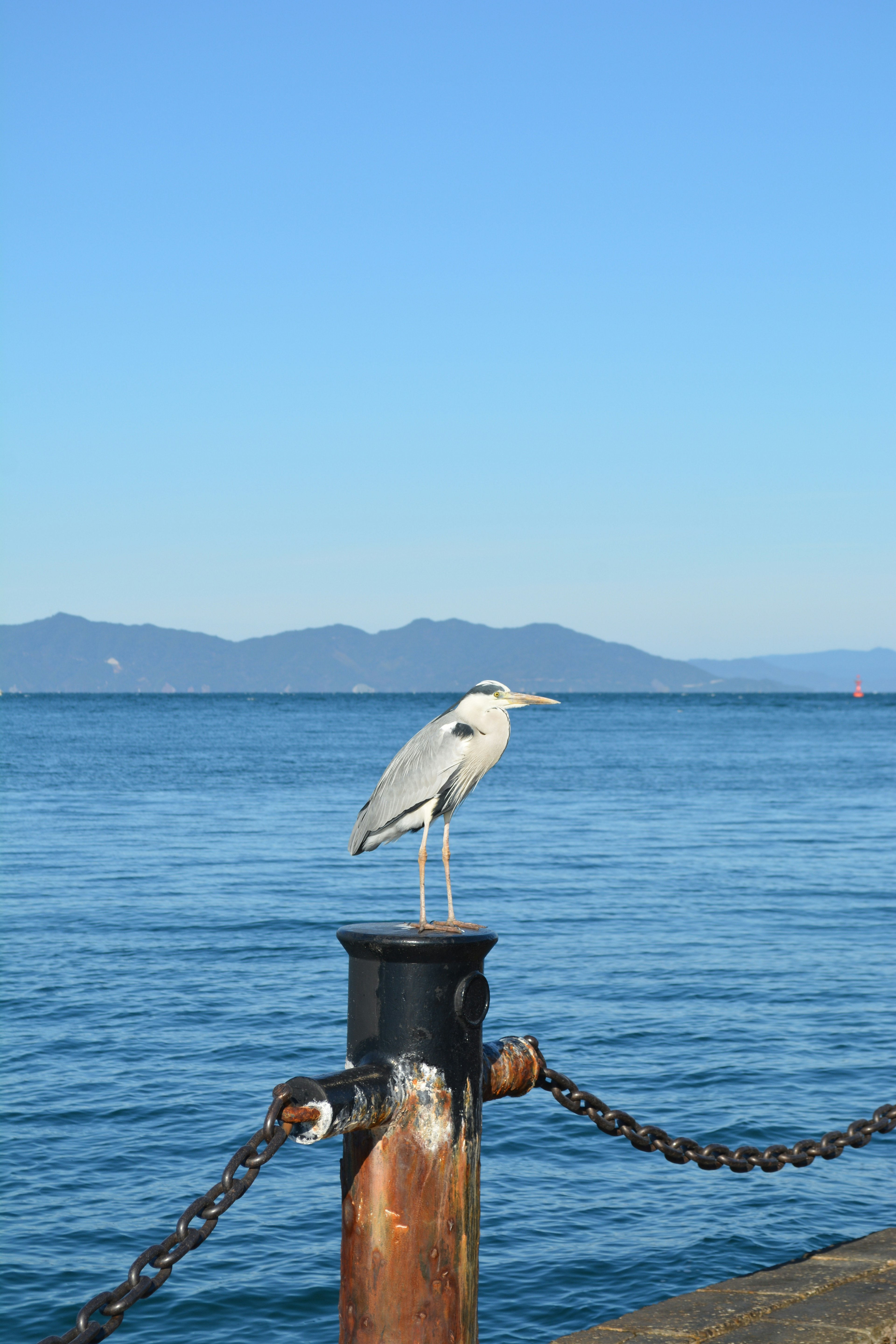 Una garza blanca posada en un poste junto al mar azul con montañas al fondo