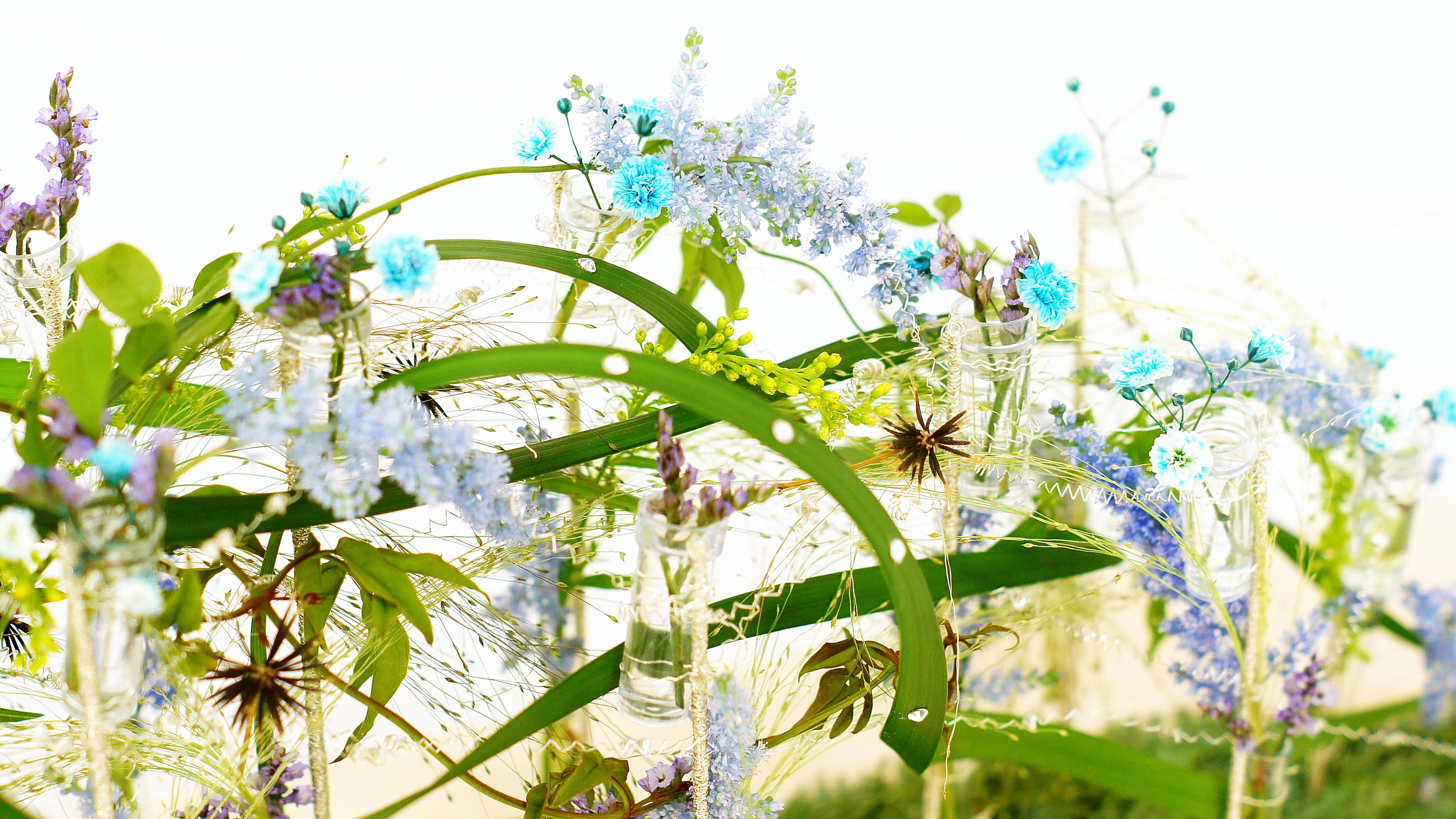 Un hermoso collage de flores azules y hojas verdes dispuestas de manera artística