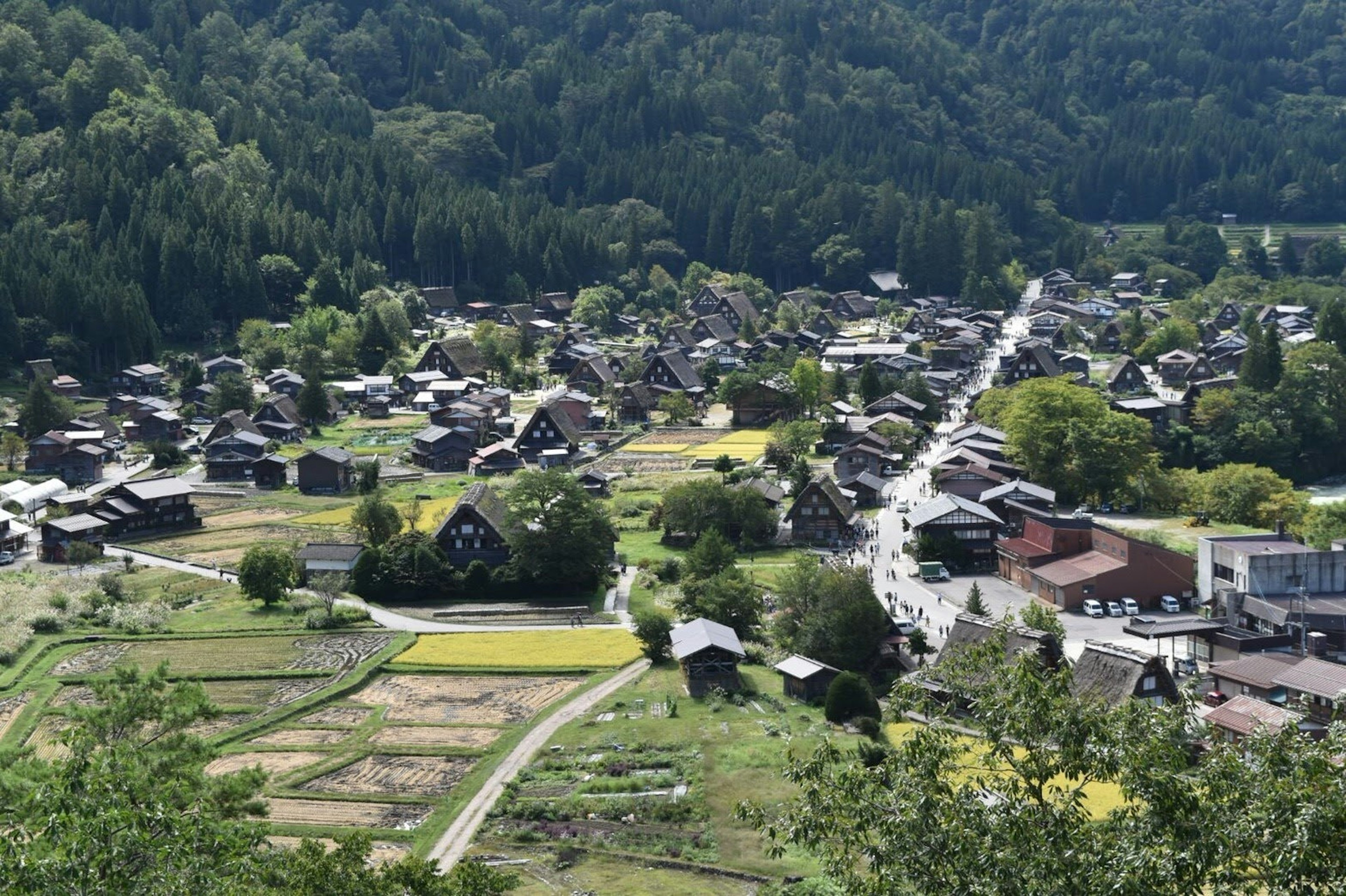 山間村莊的景色，綠樹成蔭和農田