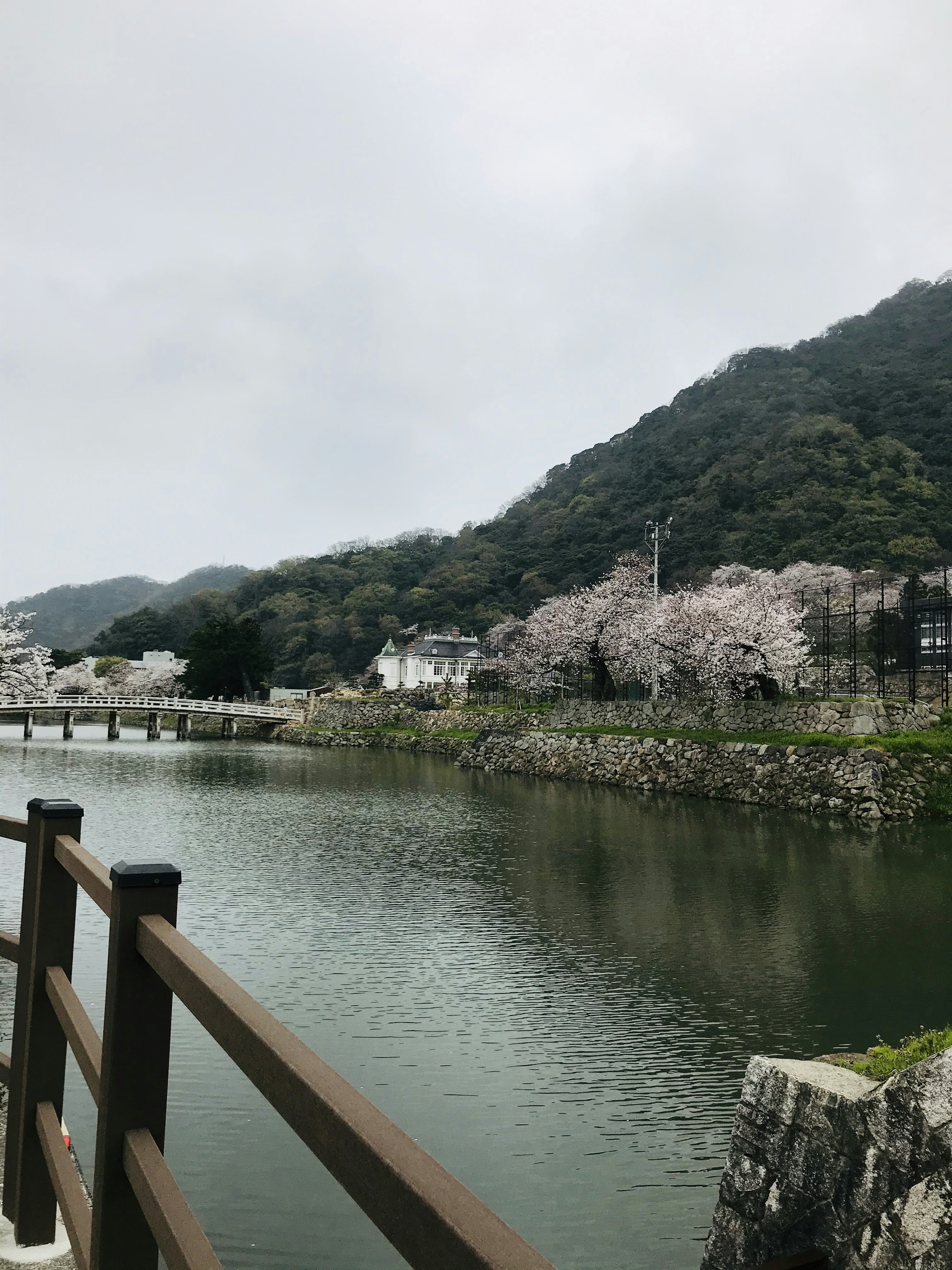 Scenic view of cherry blossom trees by a river with mountains in the background