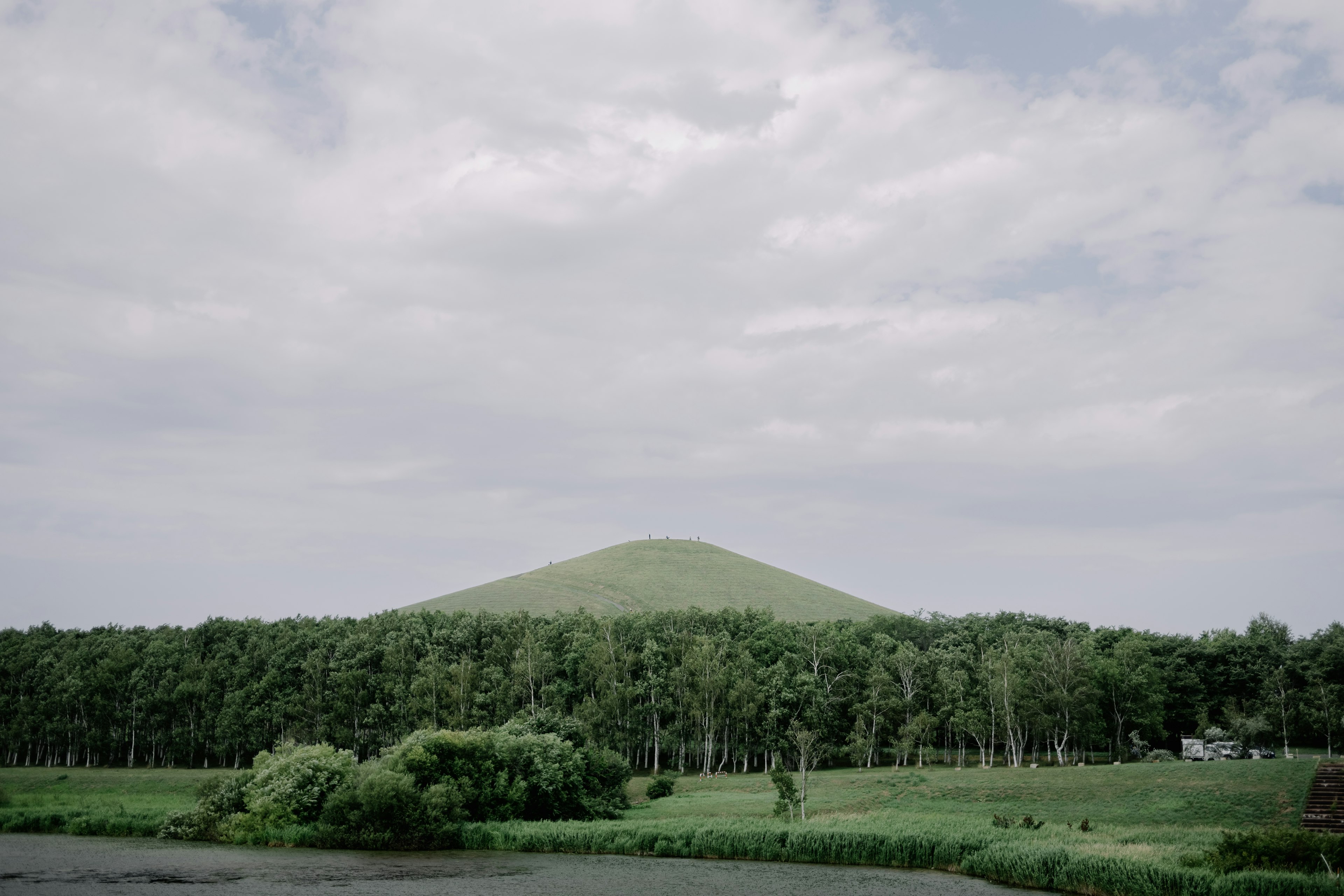 緑の丘と木々がある自然の風景