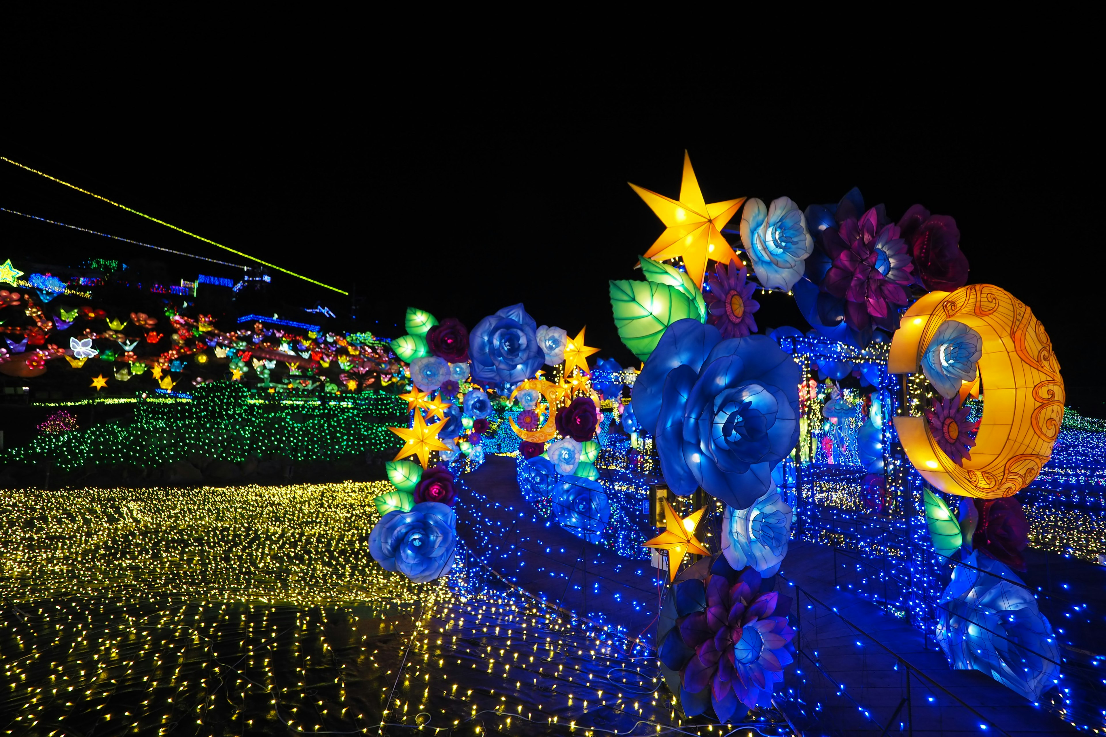 Escena nocturna con estrellas iluminadas y decoraciones florales