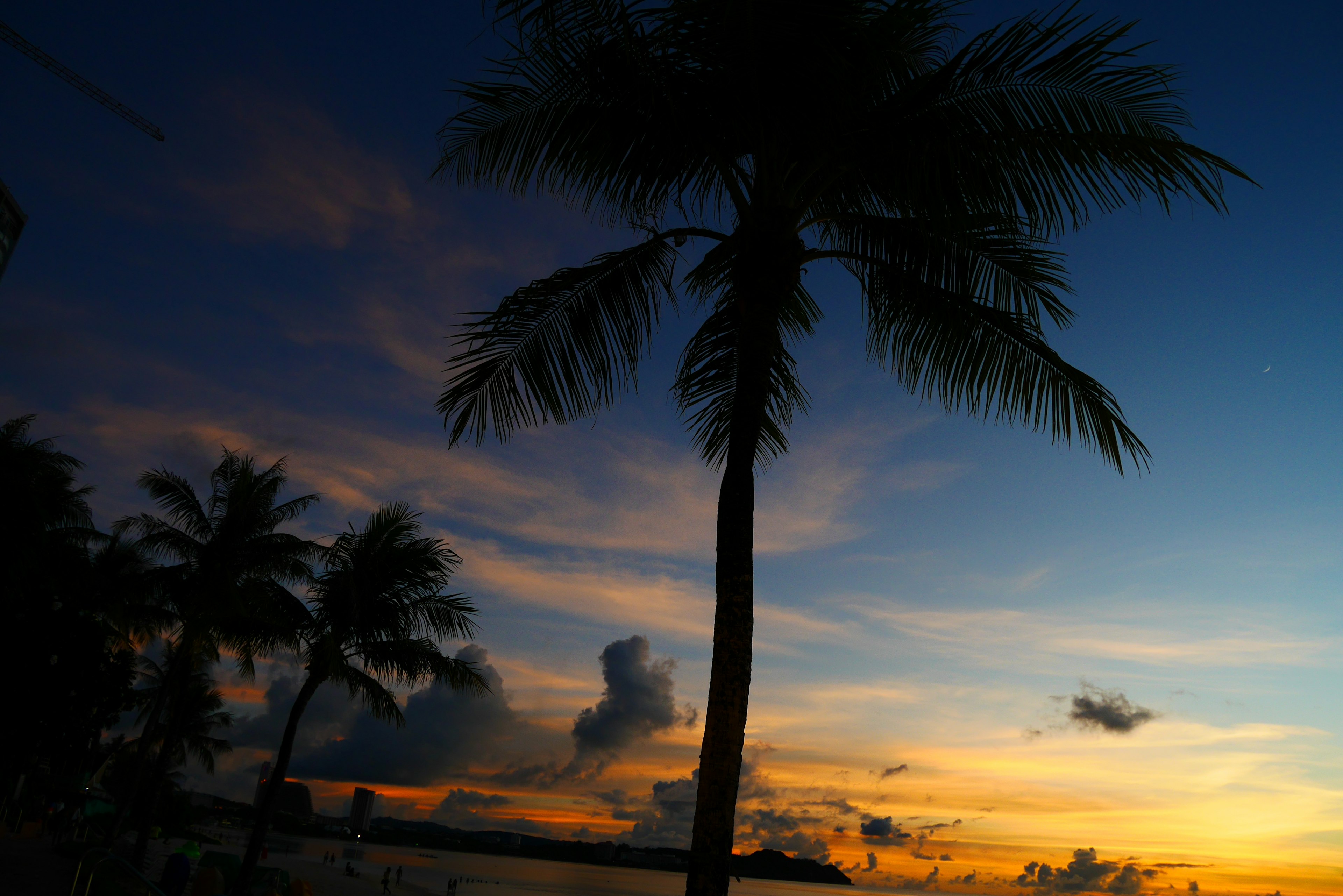 Silhouette of palm trees against a colorful sunset sky