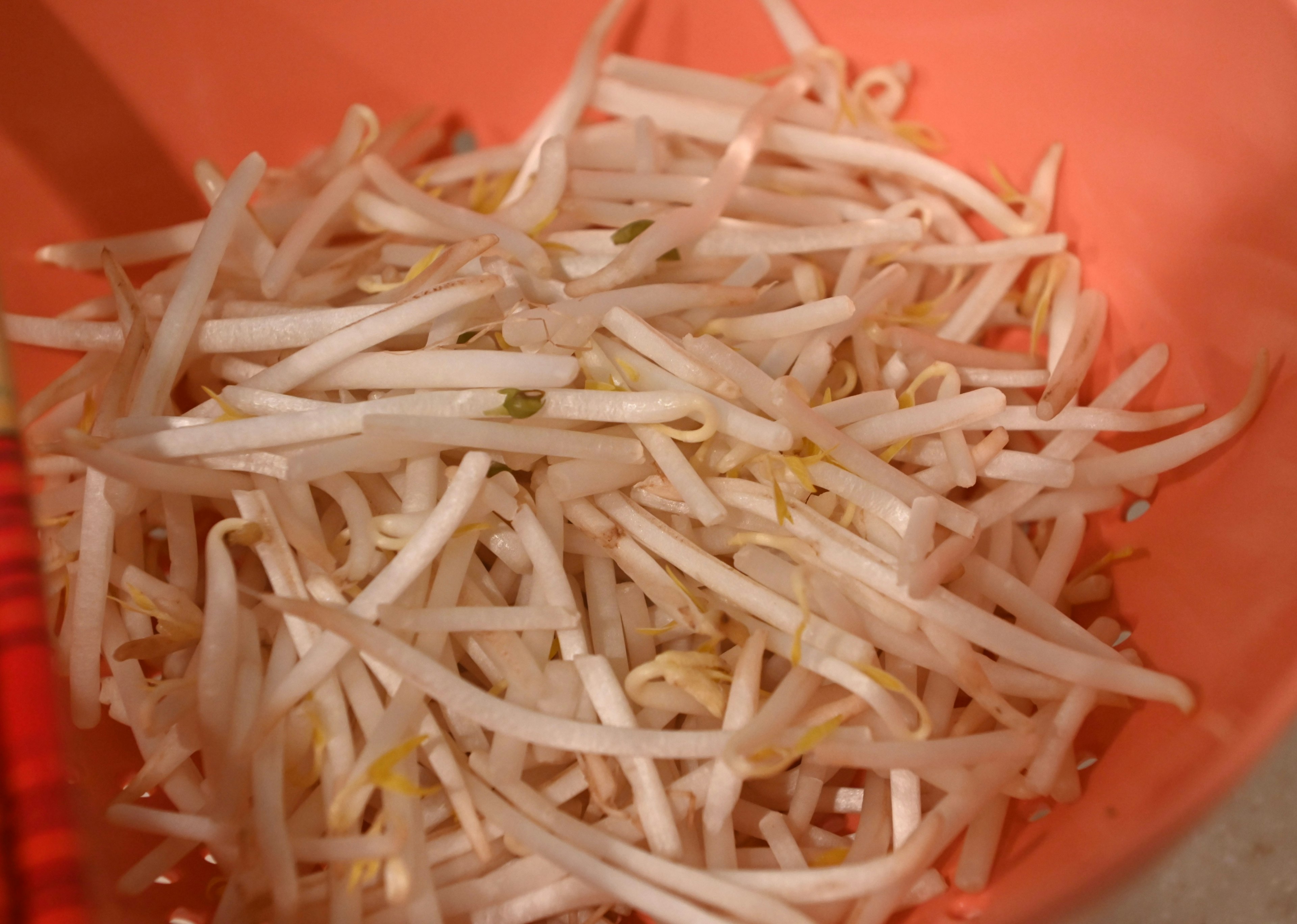 Thin strips of bean sprouts in a red bowl