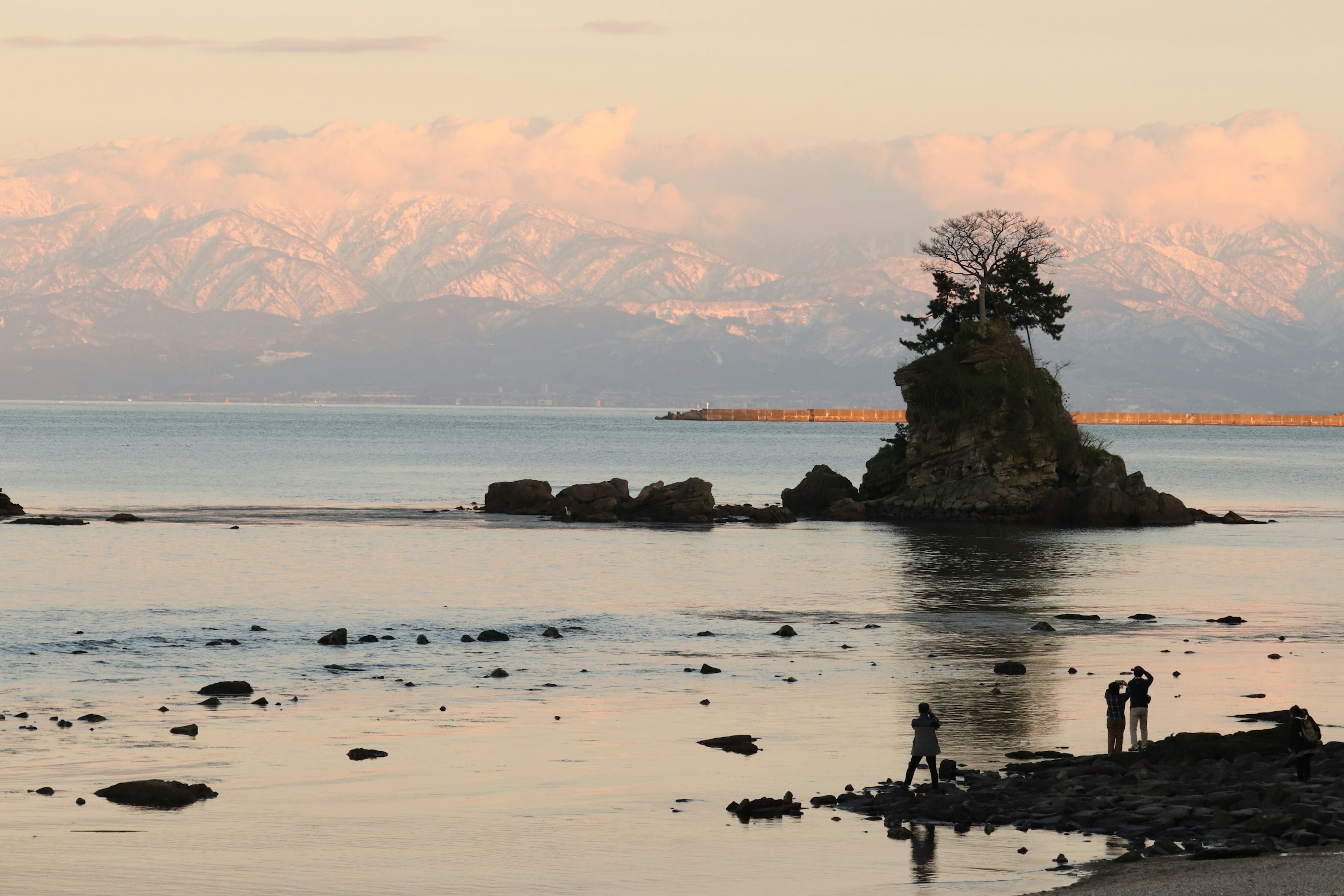 Malersicher Blick auf eine kleine Insel mit einem Baum umgeben von ruhigem Wasser