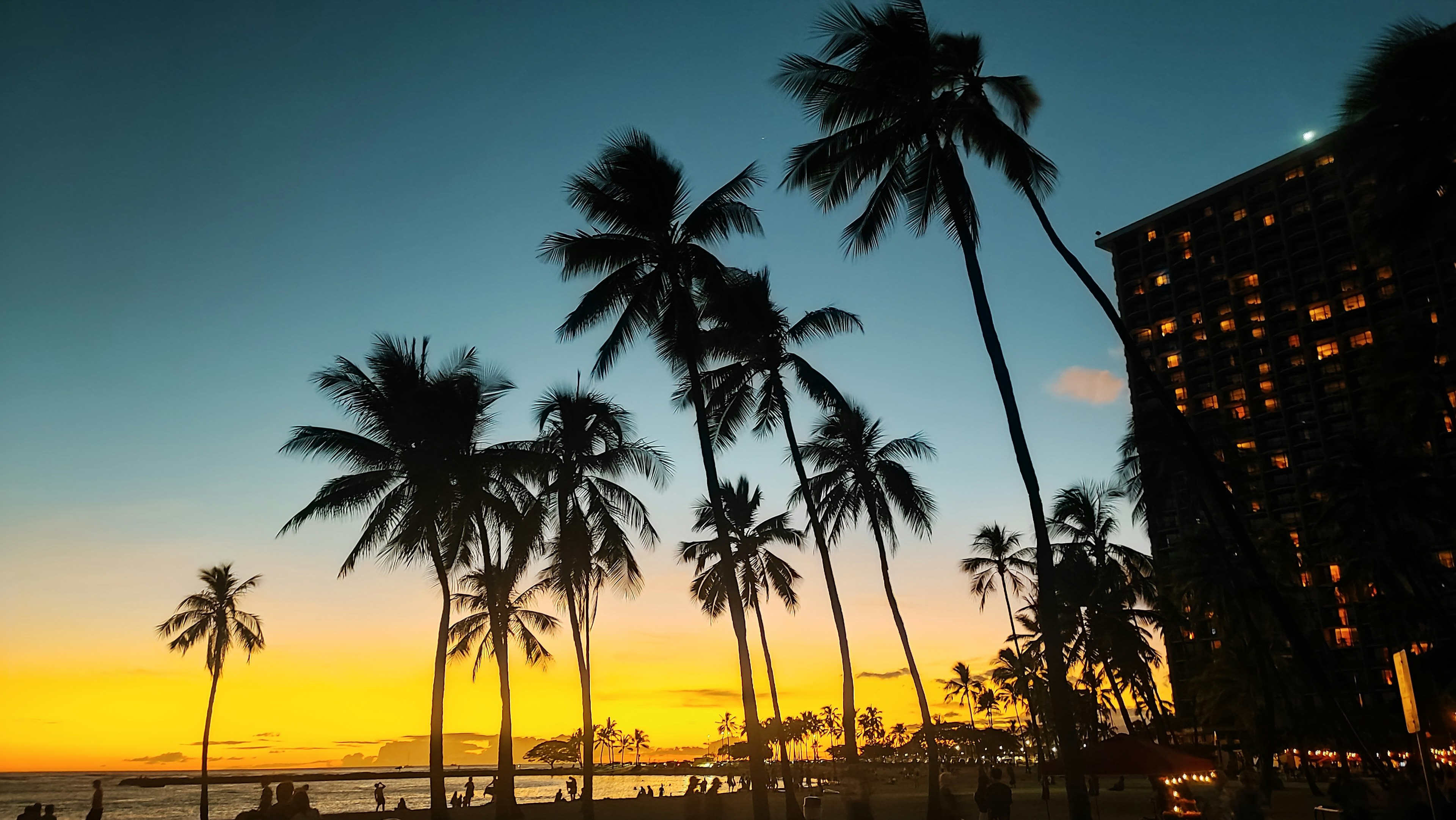 Silhouette of palm trees and a high-rise building against a sunset beach