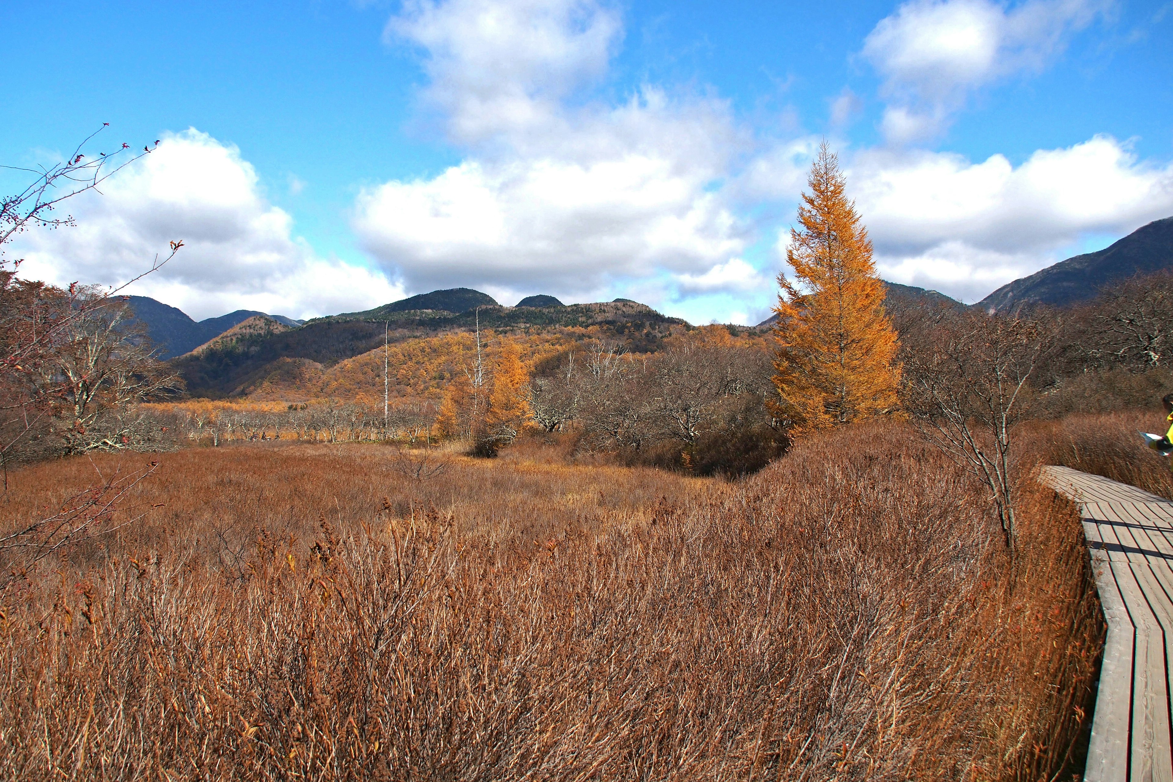 Paisaje de otoño con pradera seca y cielo azul