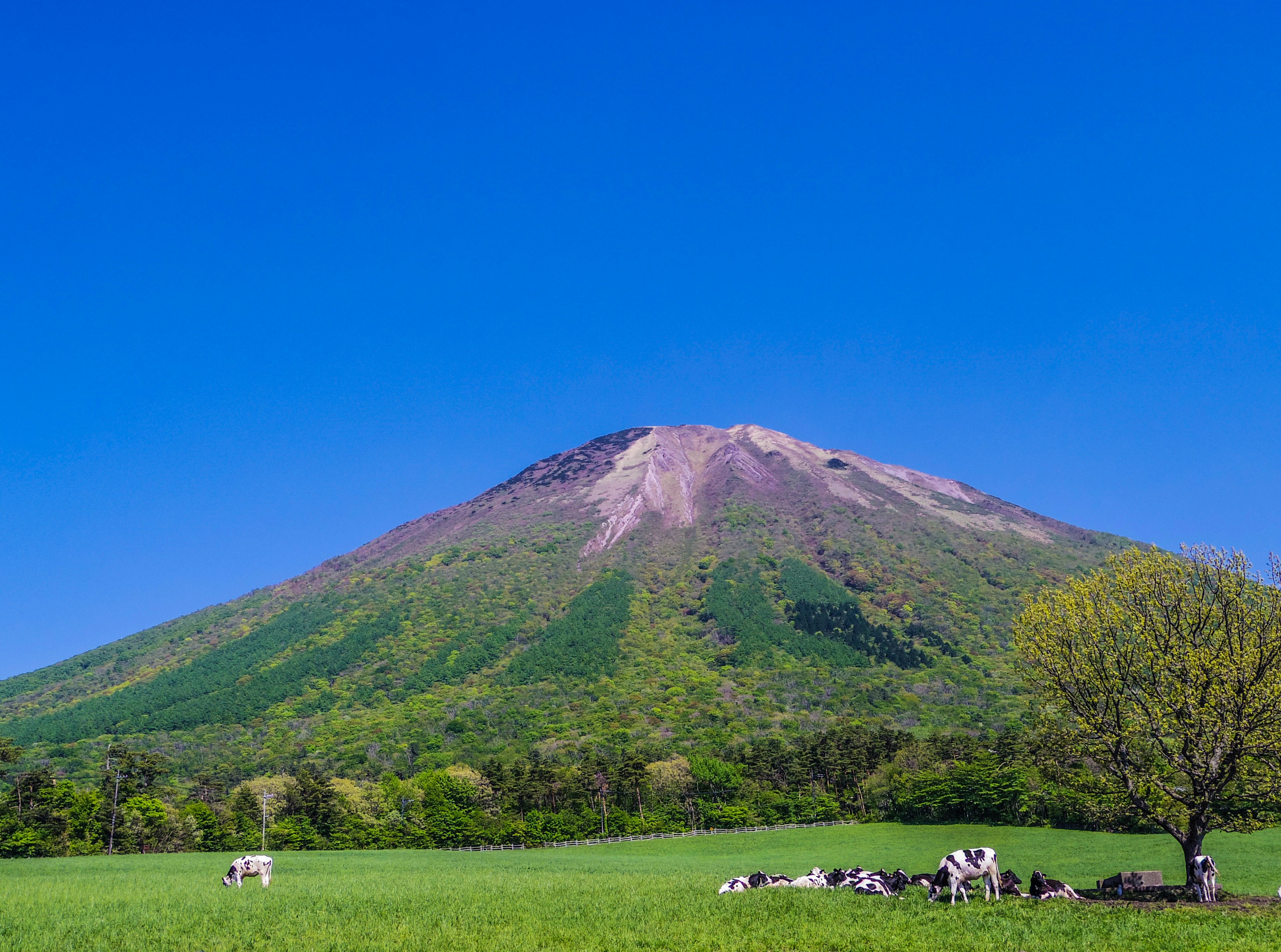 Un volcan majestueux sous un ciel bleu clair avec des champs verdoyants