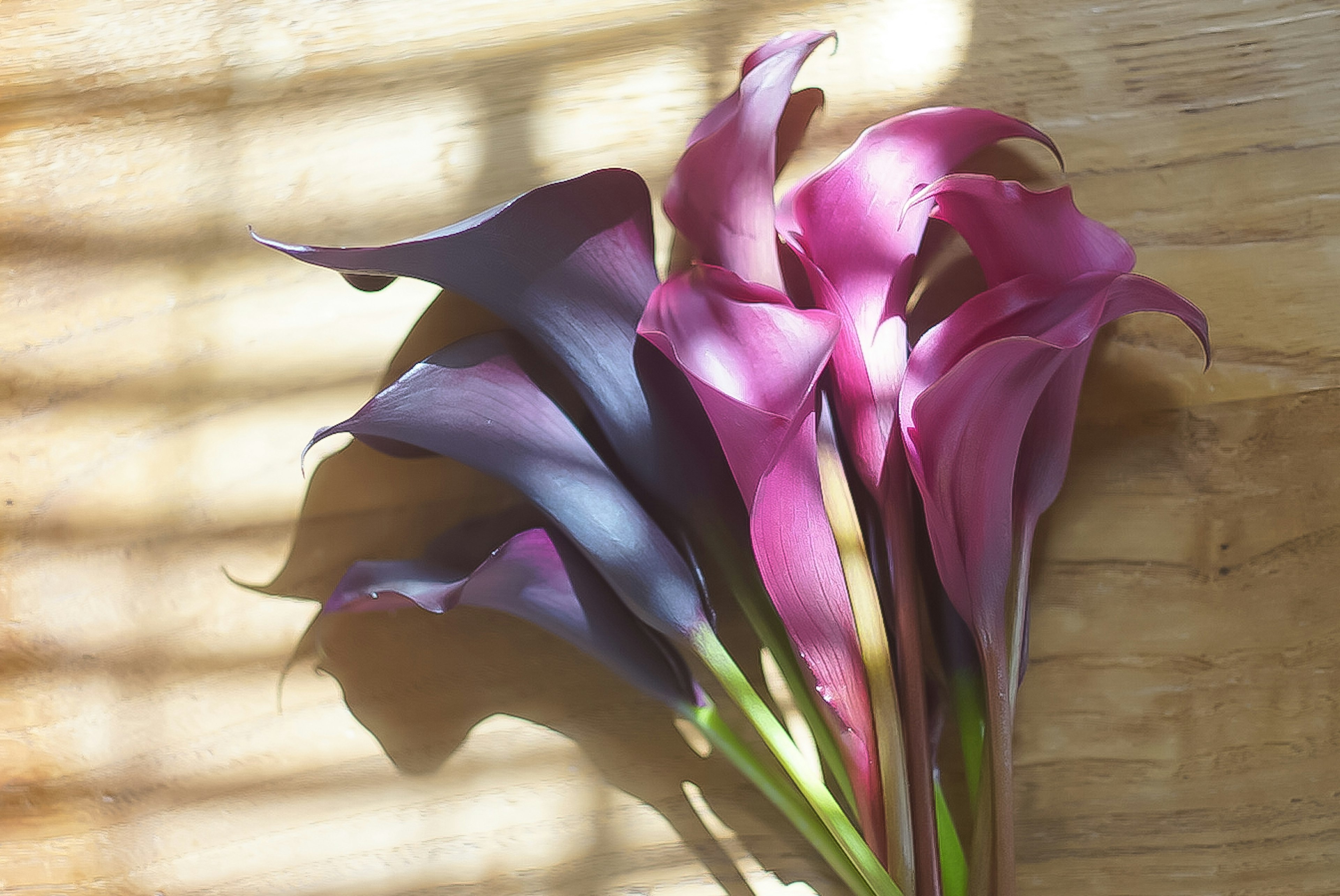 A colorful bouquet of calla lilies resting on a wooden table