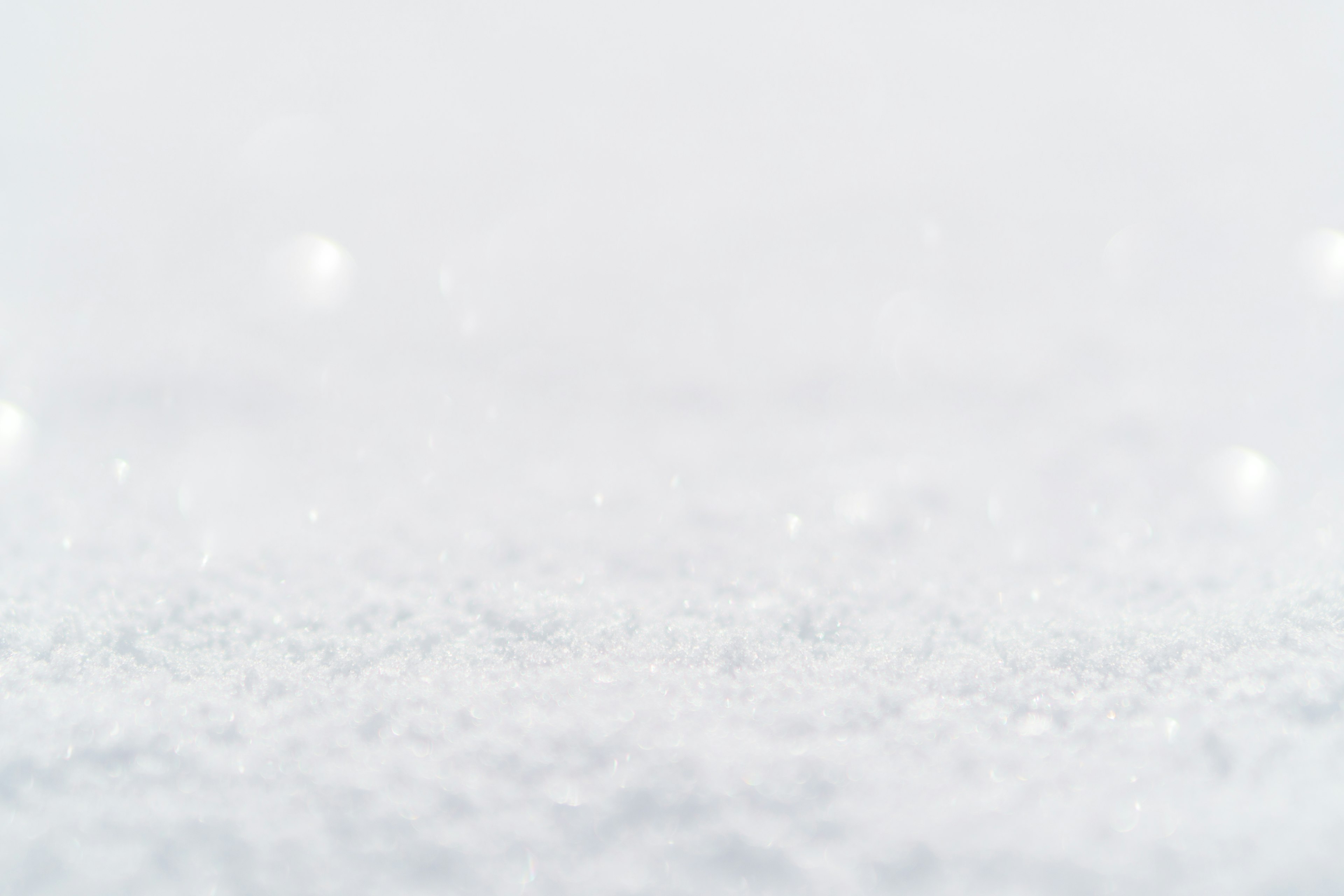 A snowy white background with sparkling glimmers scattered throughout