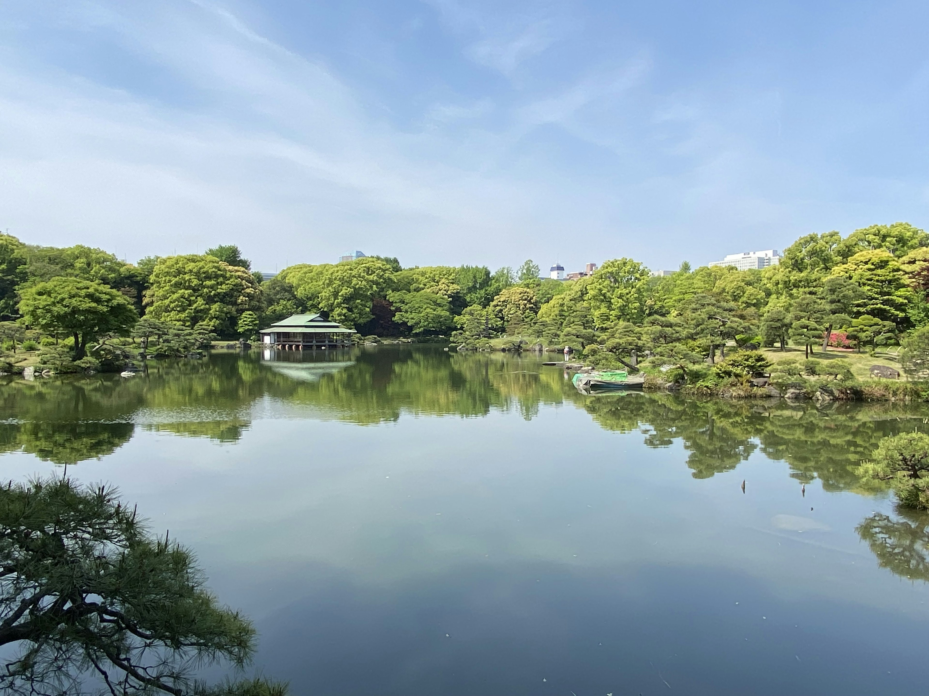 Lago sereno che riflette una vegetazione lussureggiante e un cielo blu