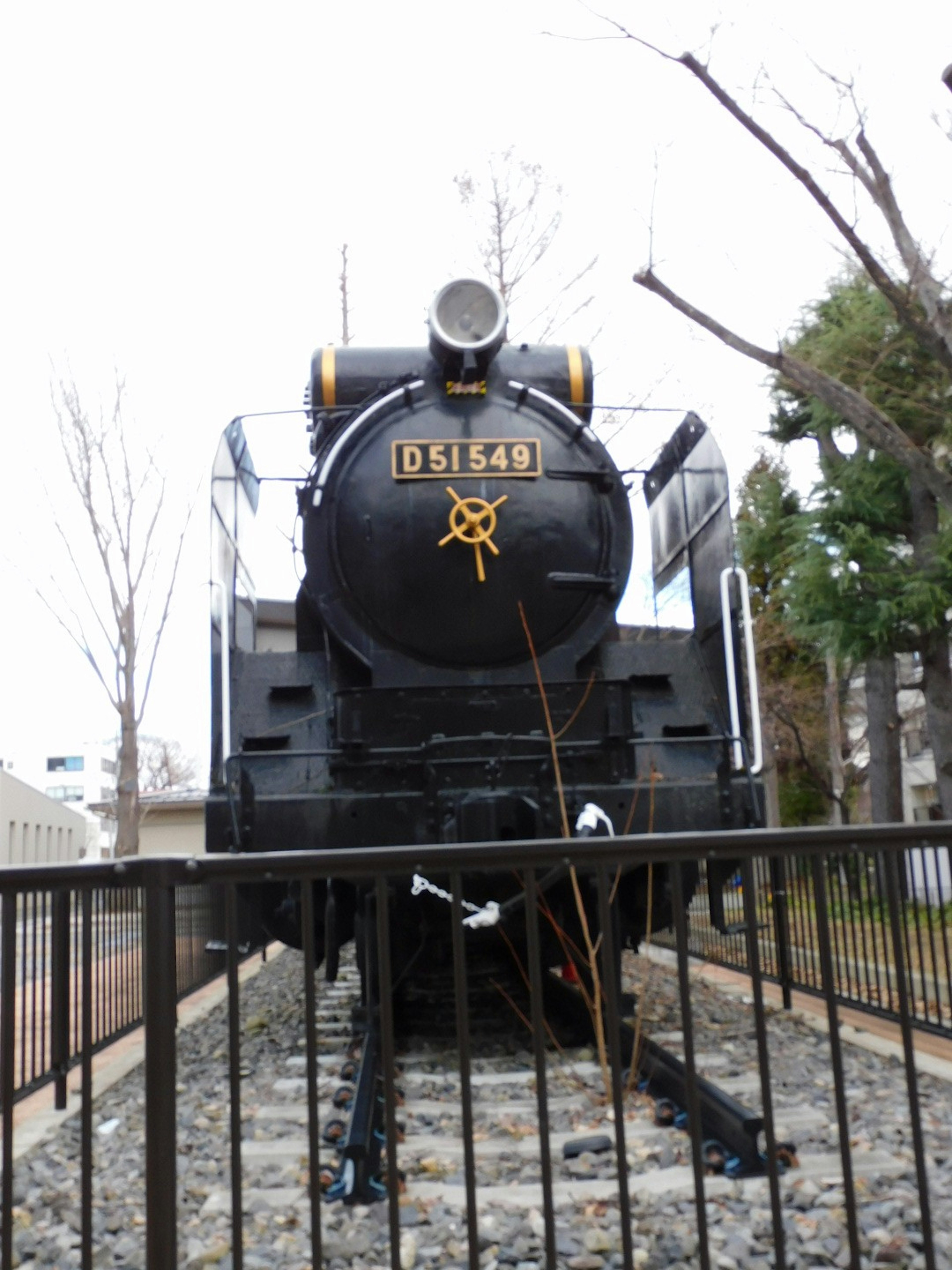 Locomotiva a vapore nera D51441 esposta con una recinzione davanti e alberi sullo sfondo