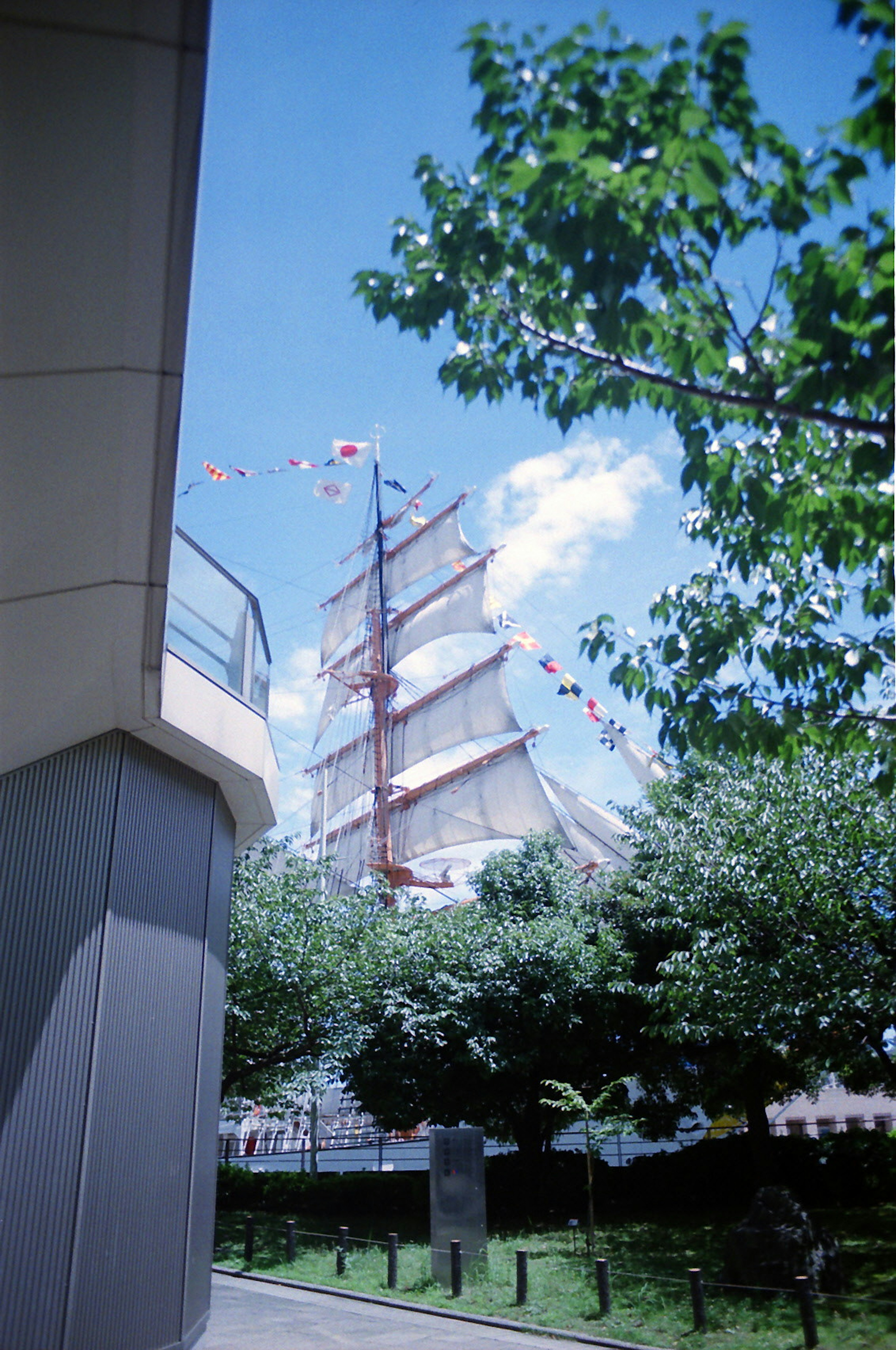 A tall sailing ship under a blue sky surrounded by green trees