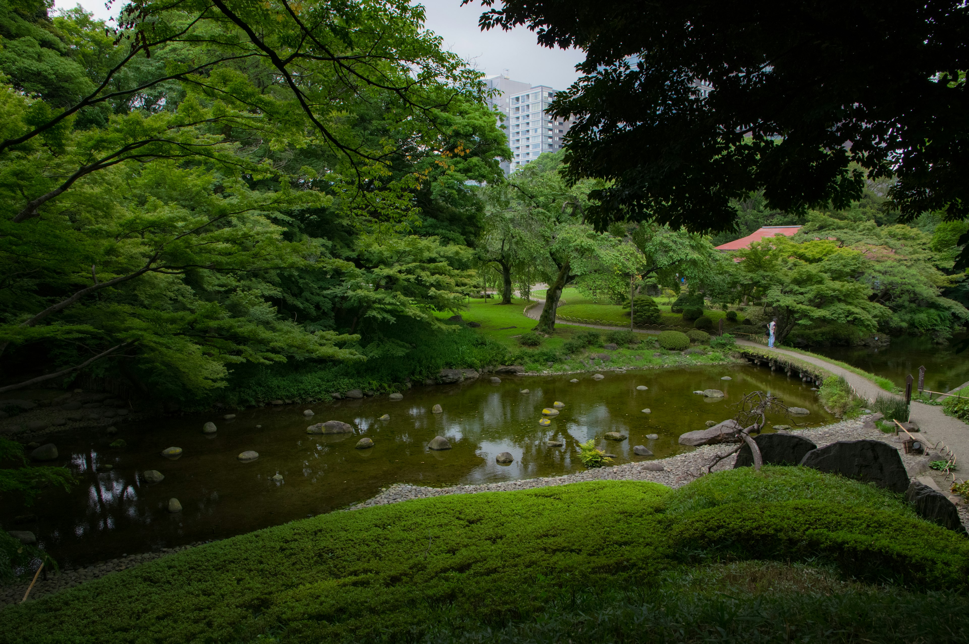 Malersicher Blick auf einen üppig grünen Park mit einem Teich und einer Brücke